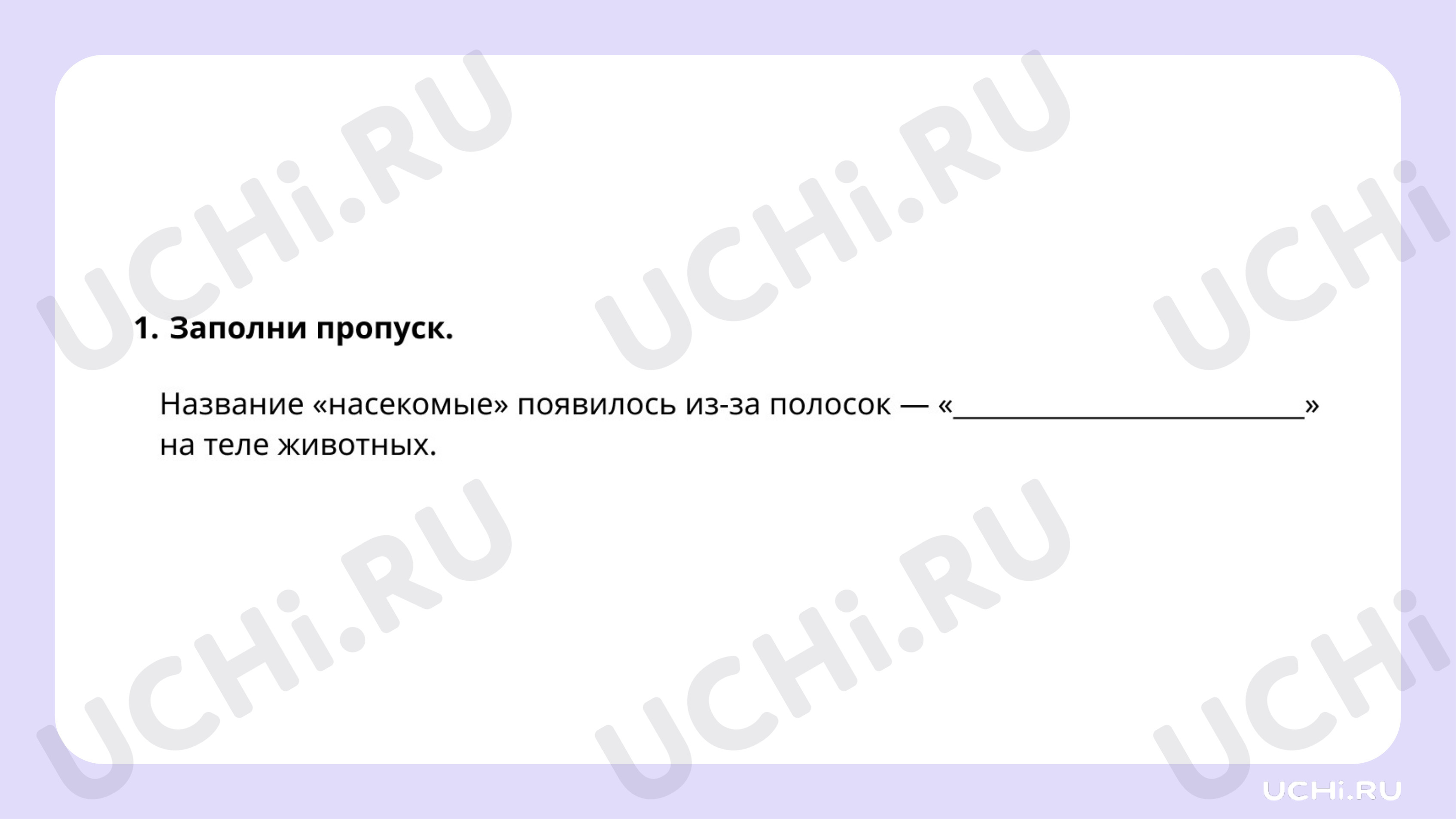 Рабочие листы по теме «Насекомые: сравнение, краткое описание внешнего  вида». Базовый уровень: Насекомые: сравнение, краткое описание внешнего  вида | Учи.ру