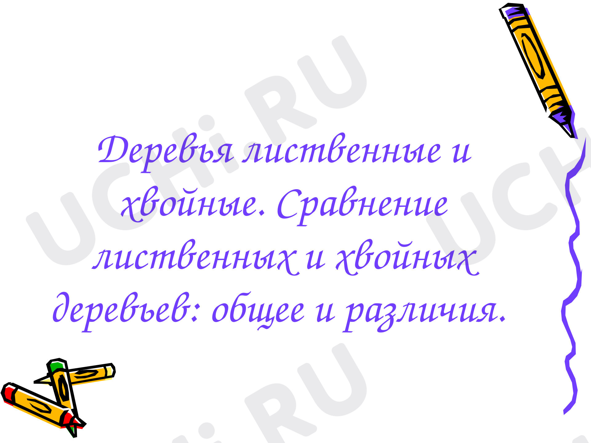 Предпросмотр материала Презентация к уроку окружающего мира по теме: Деревья лиственные и хвойные. Сравнение лиственных и хвойных деревьев: общее и различия.