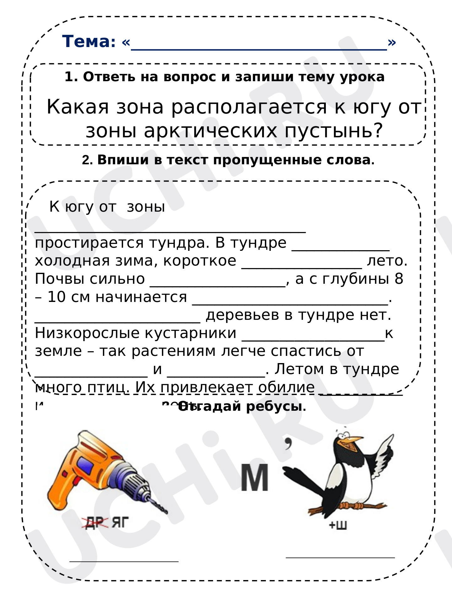 Предпросмотр материала Рабочий лист к уроку окружающего мира по теме "Тундра"