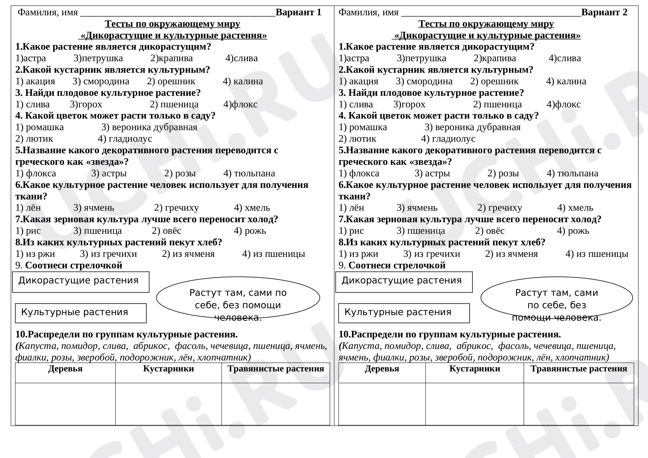 Предпросмотр материала Дикорастущие и культурные растения