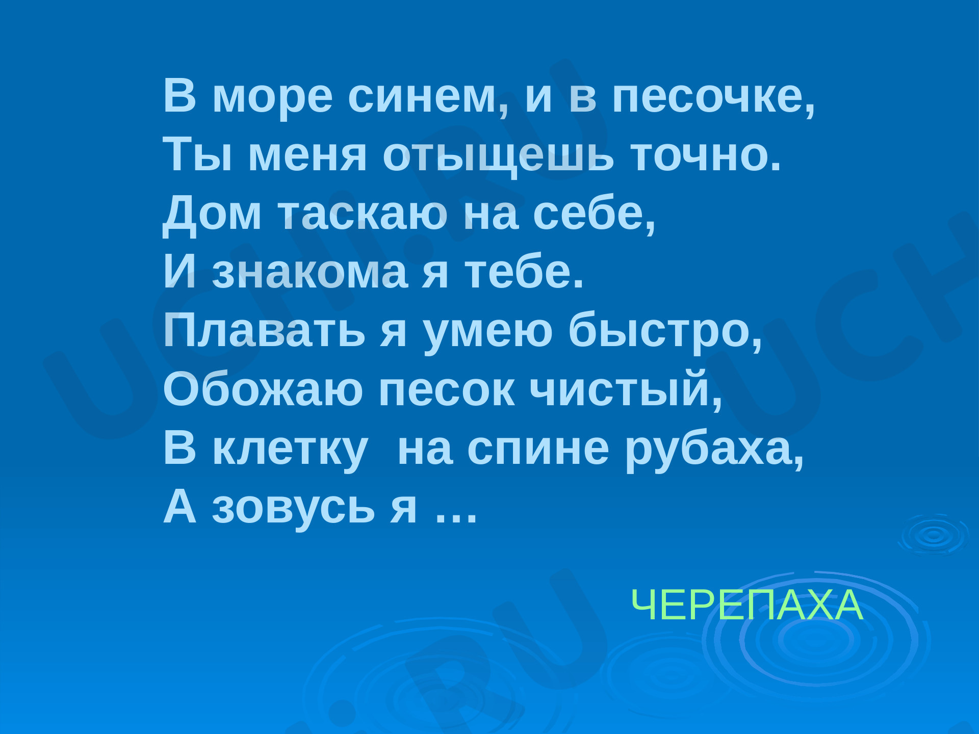 Предпросмотр материала Презентация. Морская черепаха.