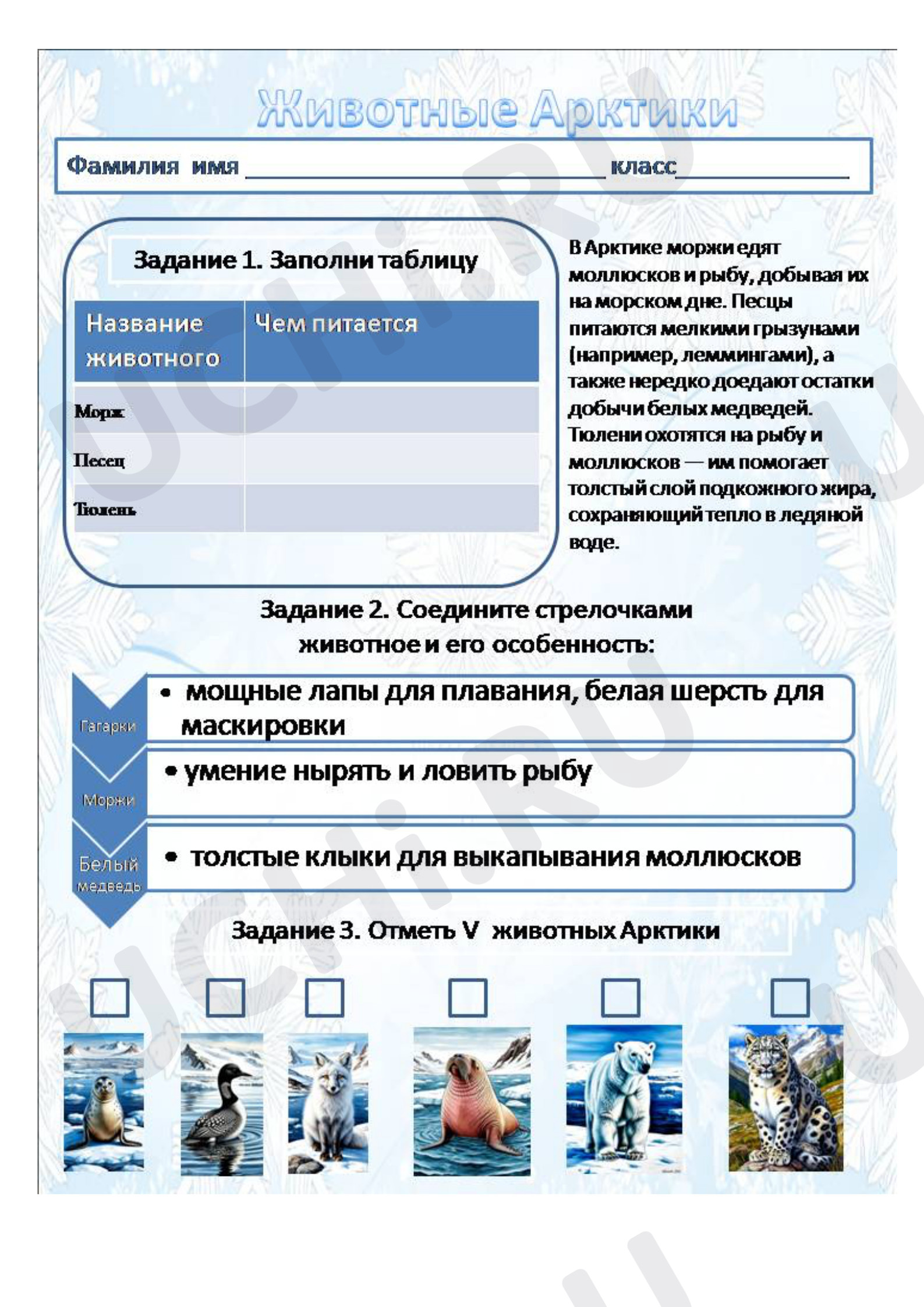 Предпросмотр материала Рабочие листы к уроку окружающего мира. Животные Арктики