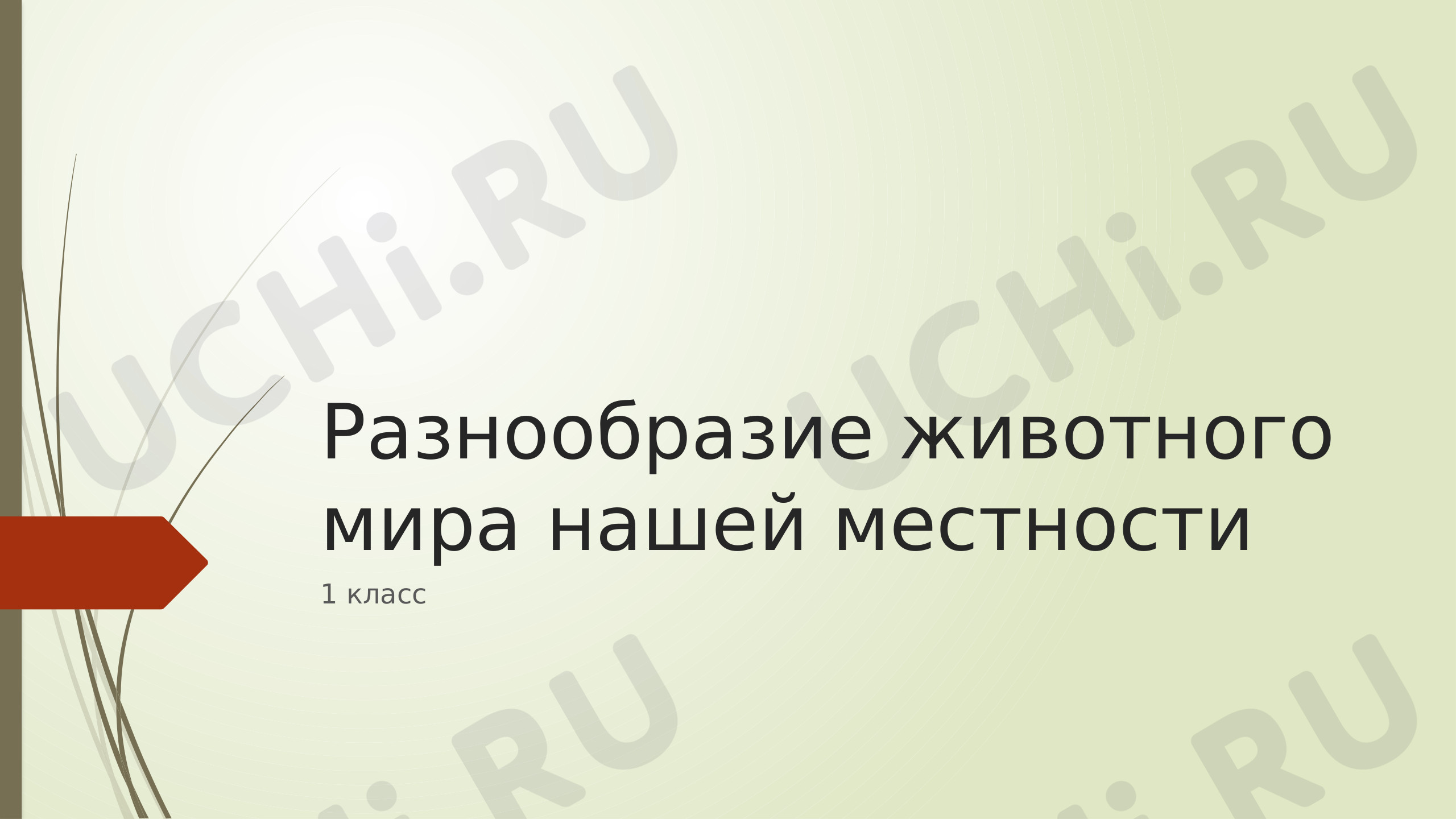 Предпросмотр материала Разнообразие животных