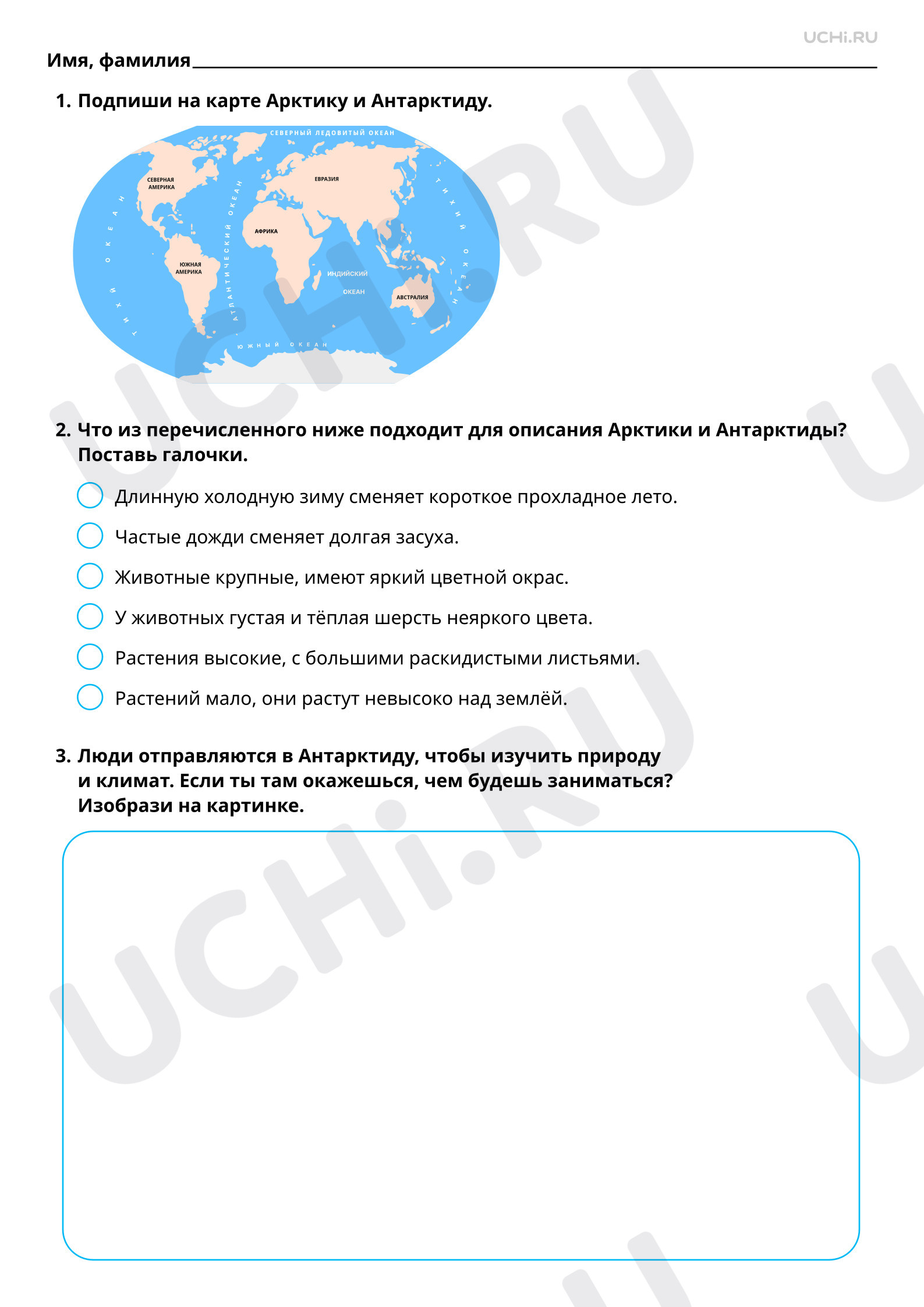 Рабочие листы по теме «Мир животных. Где живут белые медведи?». Повышенный  уровень: Мир животных. Где живут белые медведи? | Учи.ру