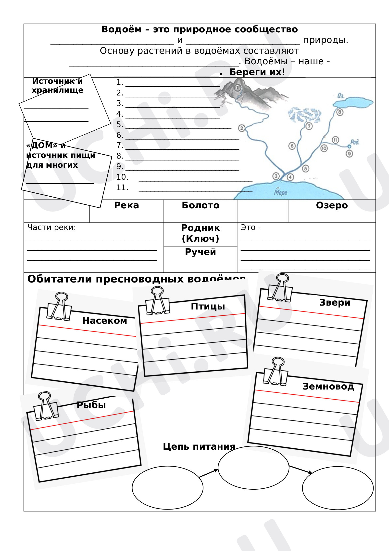 Предпросмотр материала Природное сообщество - водоём