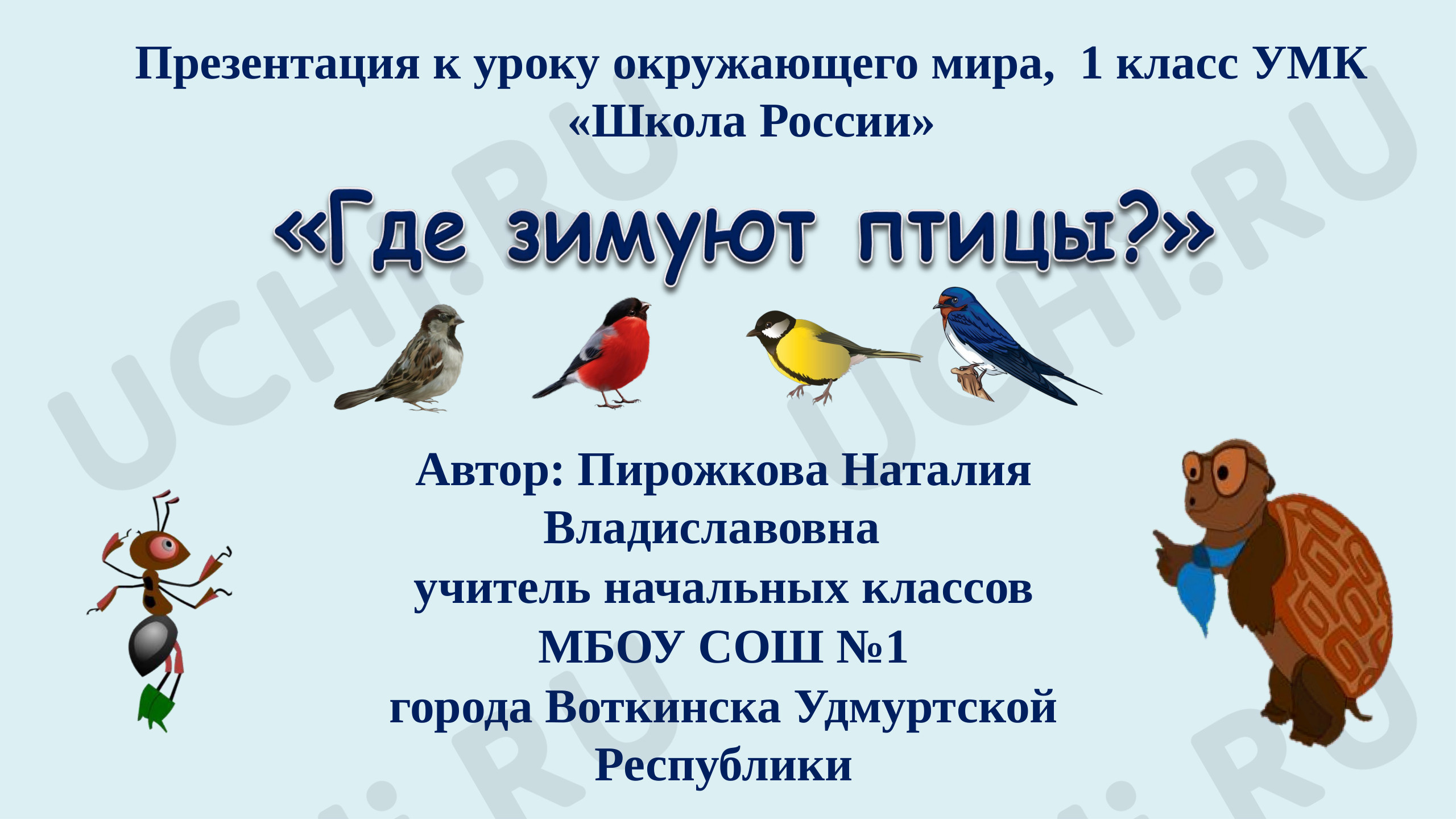 Предпросмотр материала Где зимуют птицы?