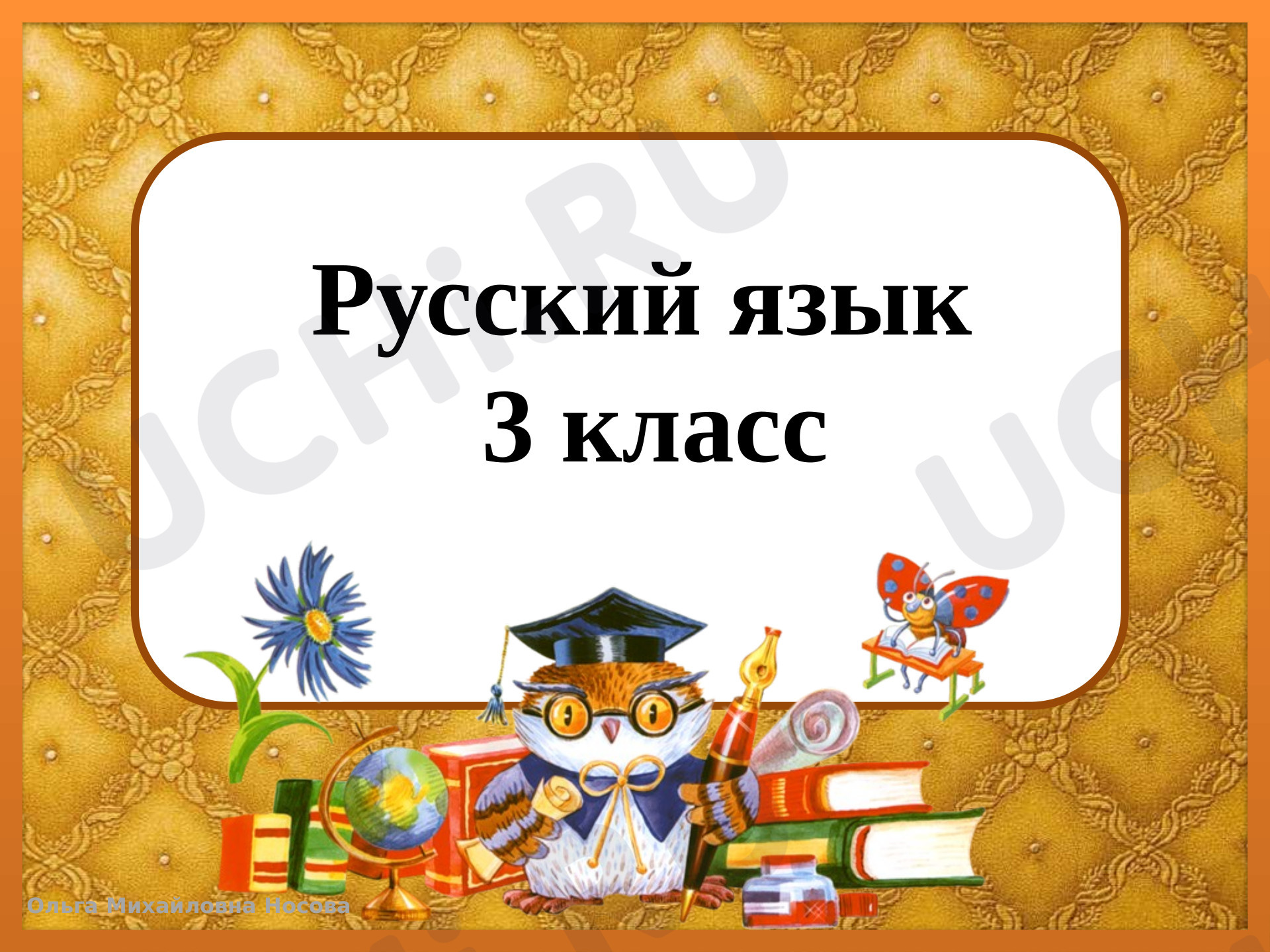 Предпросмотр материала Начальная форма имени существительного. Значение и употребление имен существительных в речи
