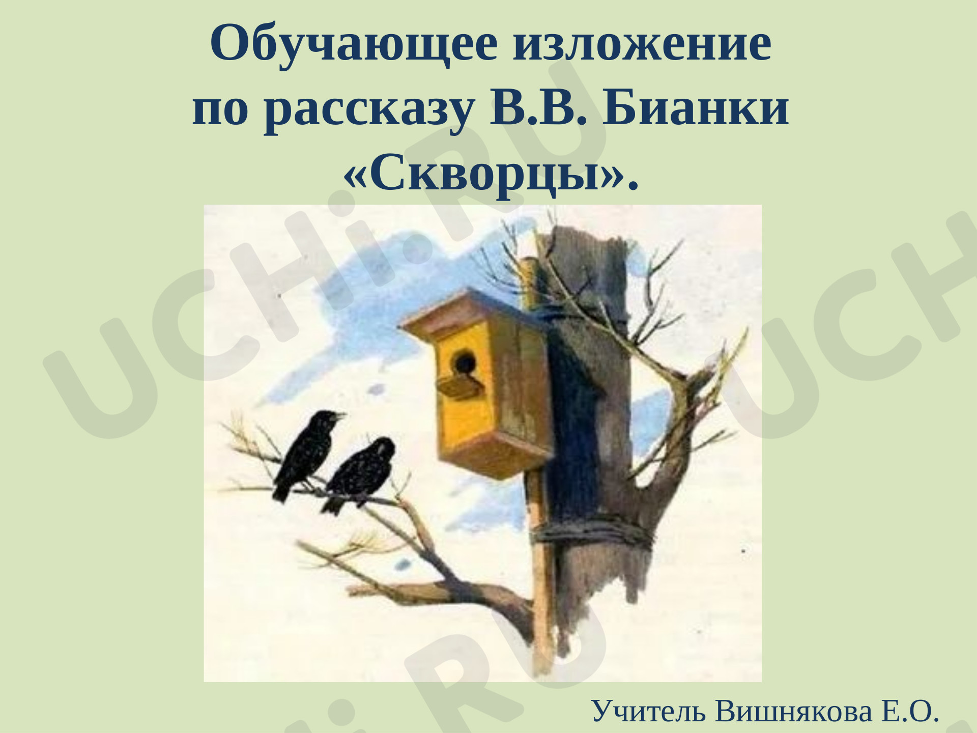 Предпросмотр материала Презентация по русскому языку по теме:   Обучающее изложение по рассказу В. Бианки "Скворцы".