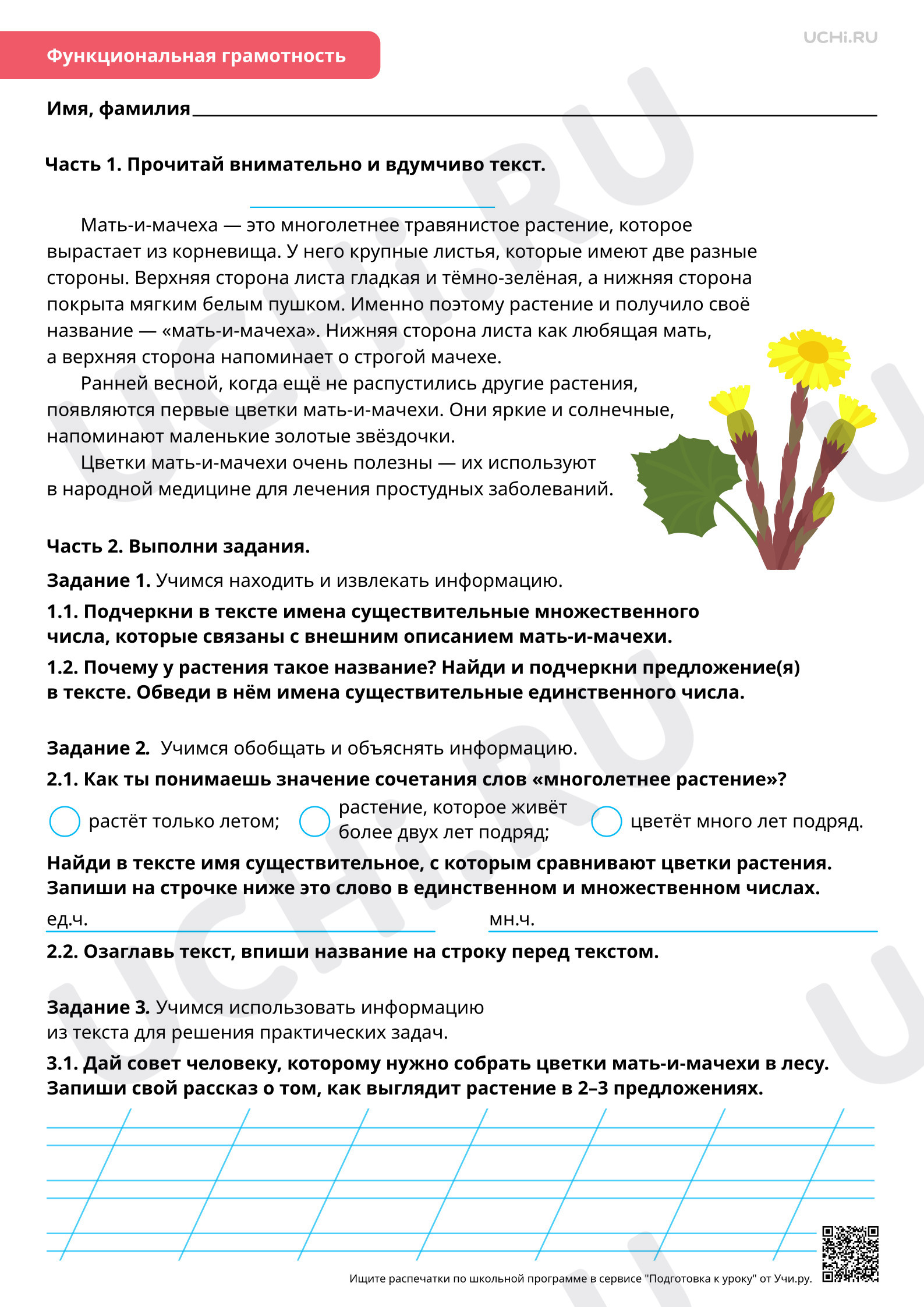 Предпросмотр материала Морфология: изменение имён существительных по числам. Базовый уровень