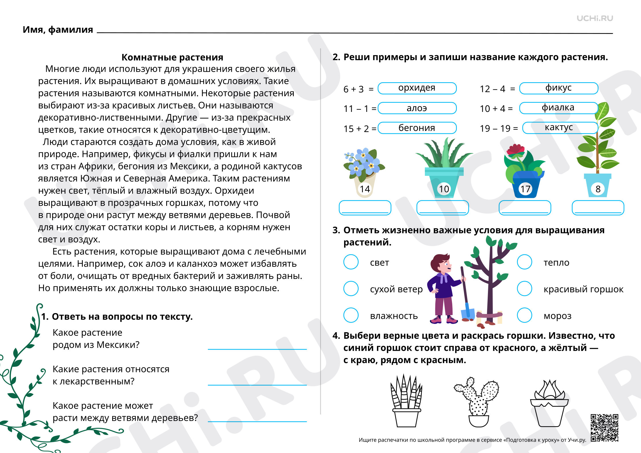 Предпросмотр материала Какие бывают комнатные растения?