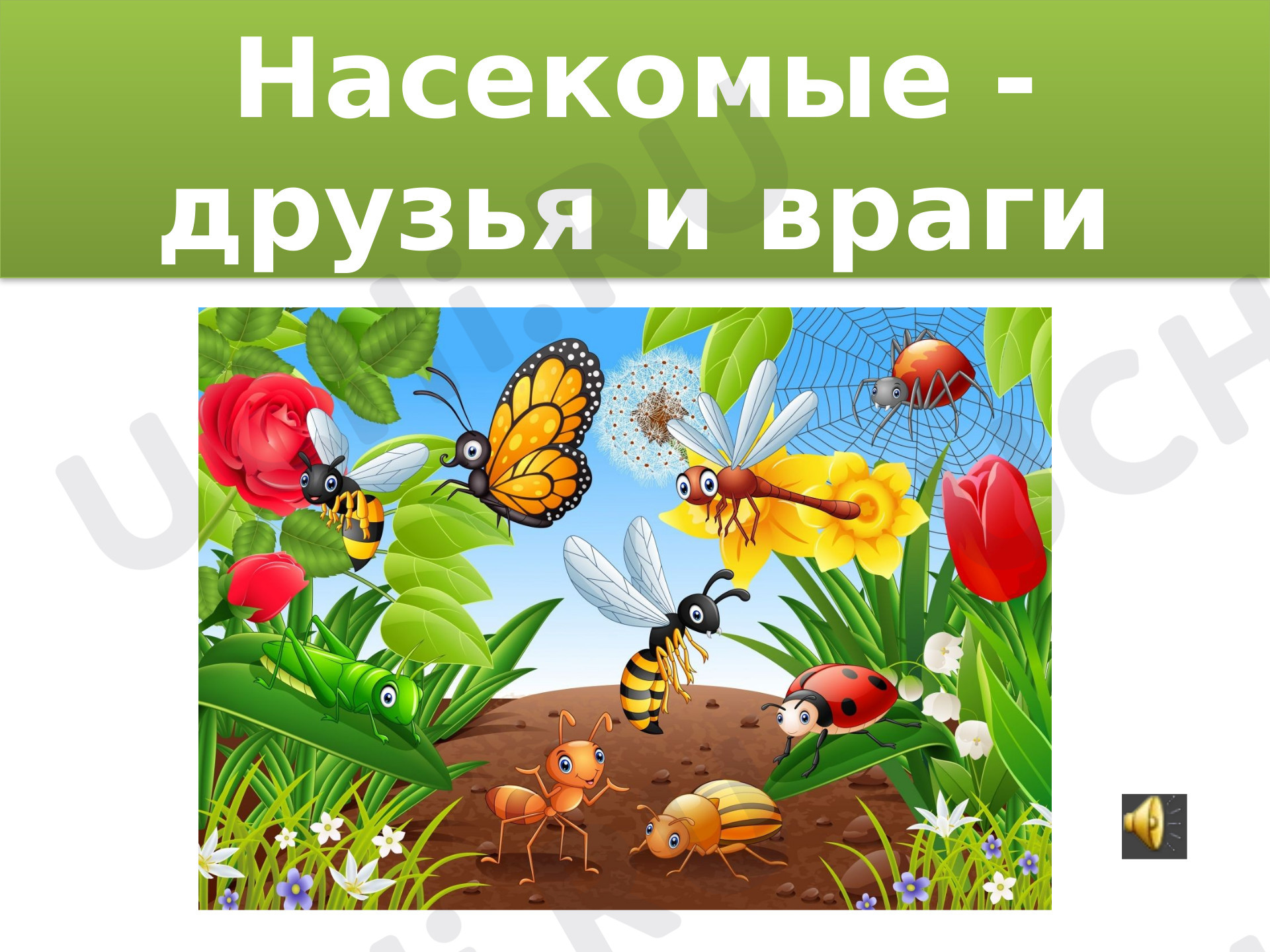 Предпросмотр материала Презентация «Насекомые - друзья и враги».