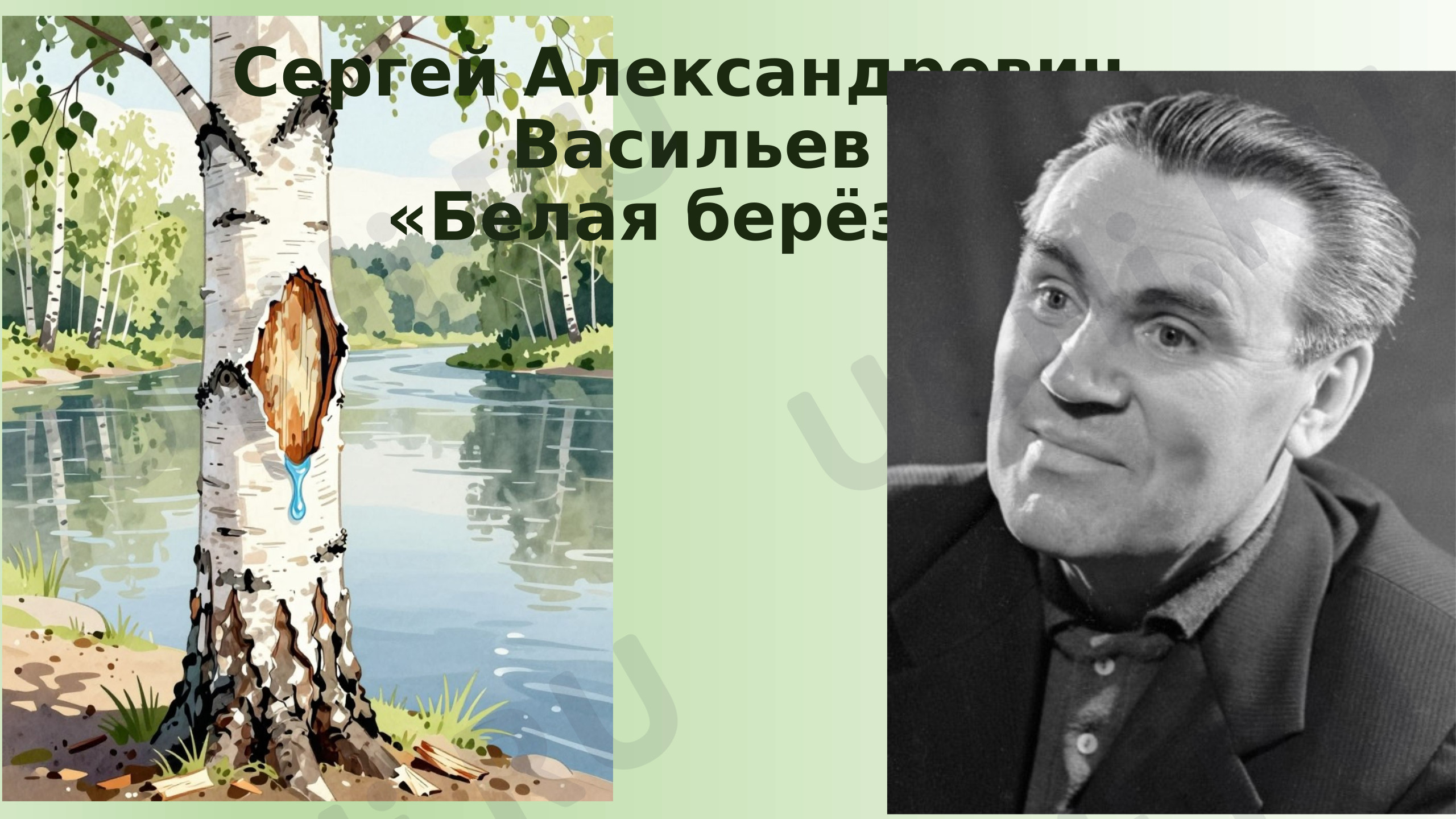 Предпросмотр материала Презентация к уроку литературного чтения по теме: «Белая берёза — образ Родины и памяти в стихотворении С.А. Васильева»