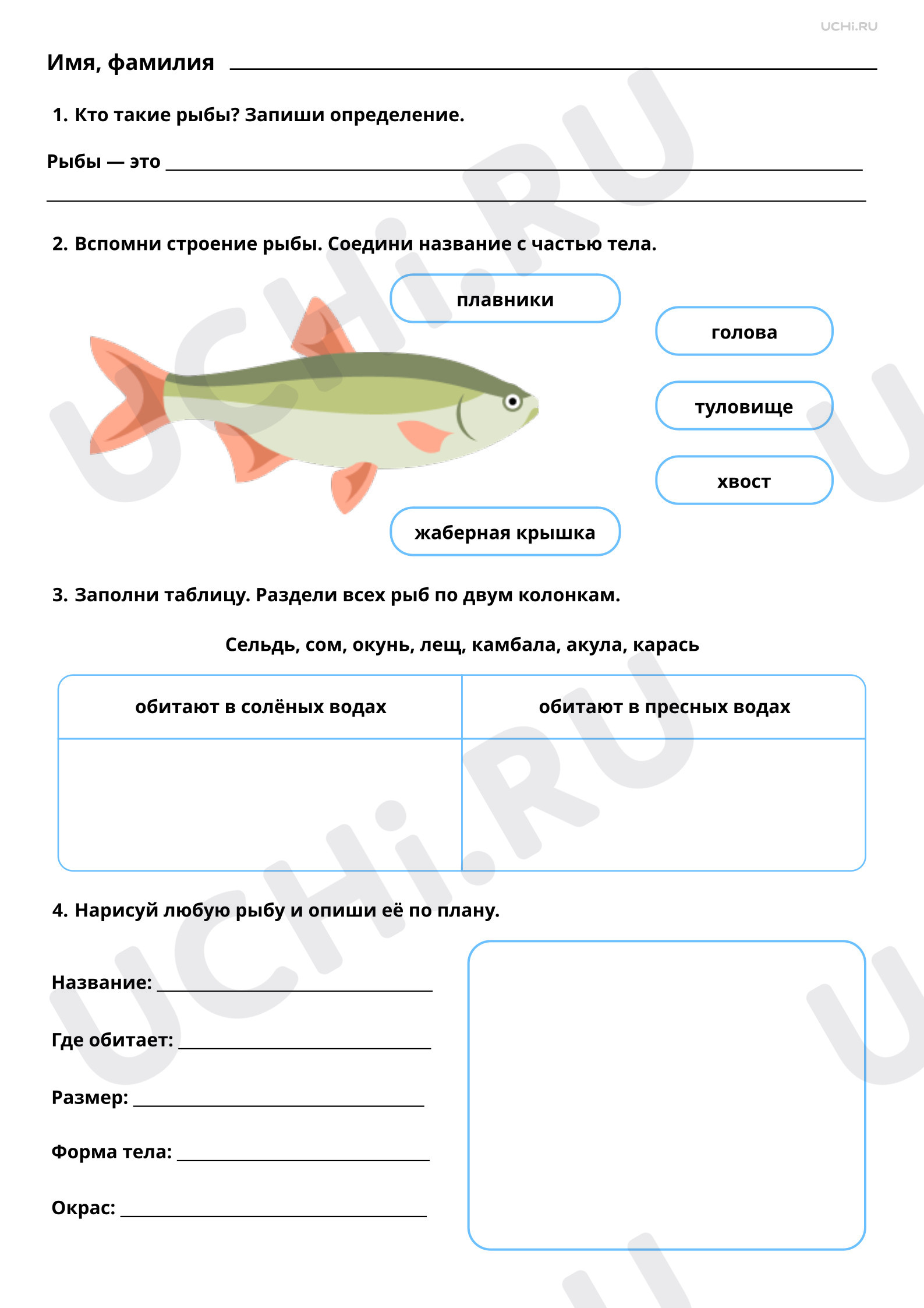 Рабочие листы по теме «Мир животных: рыбы пресных и соленых водоемов ( сравнение, краткое описание)». Повышенный уровень: Мир животных: рыбы  пресных и солёных водоёмов (сравнение, краткое описание) | Учи.ру