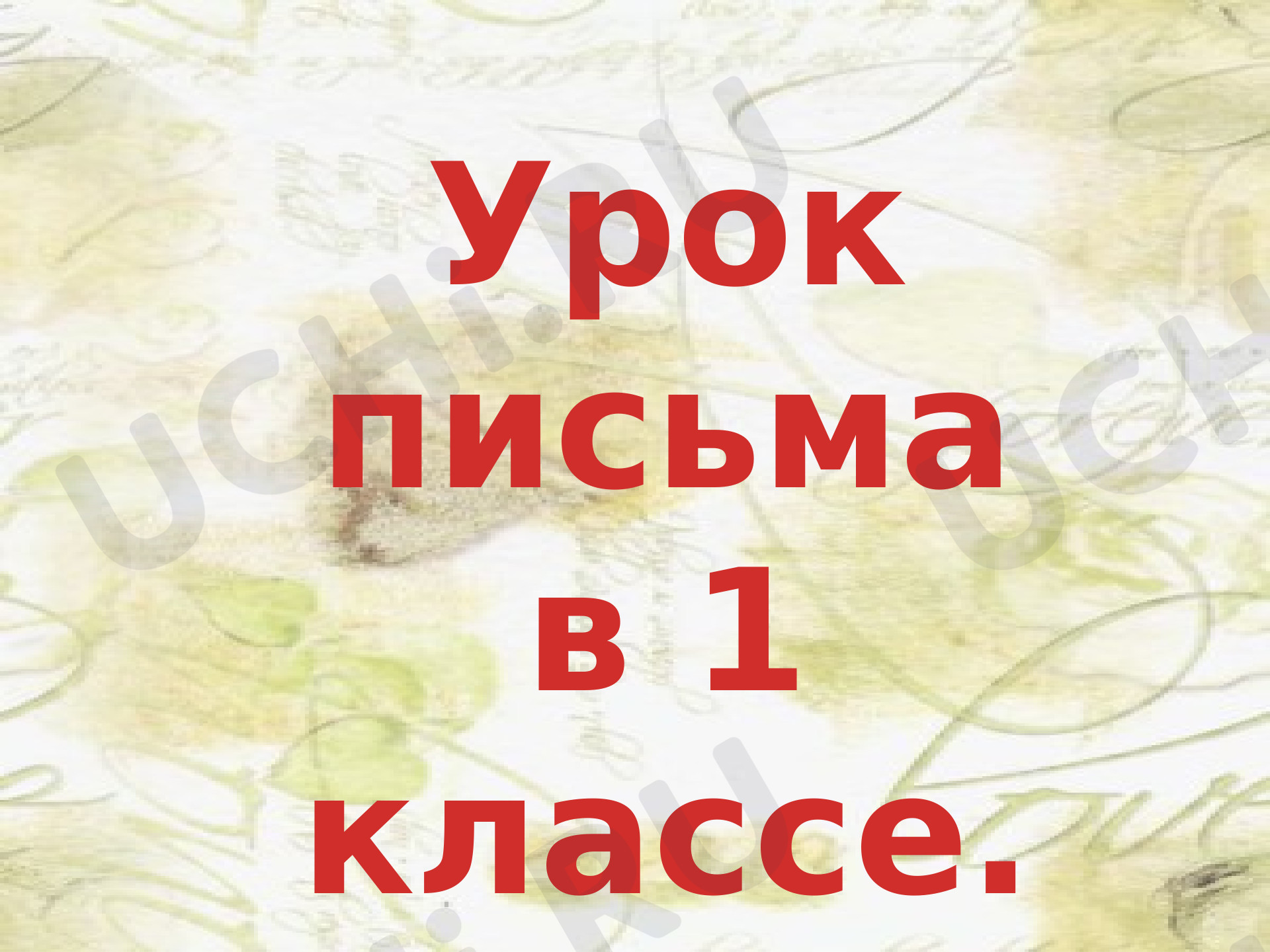 Предпросмотр материала Закрепление написания слов и предложений с буквой Д