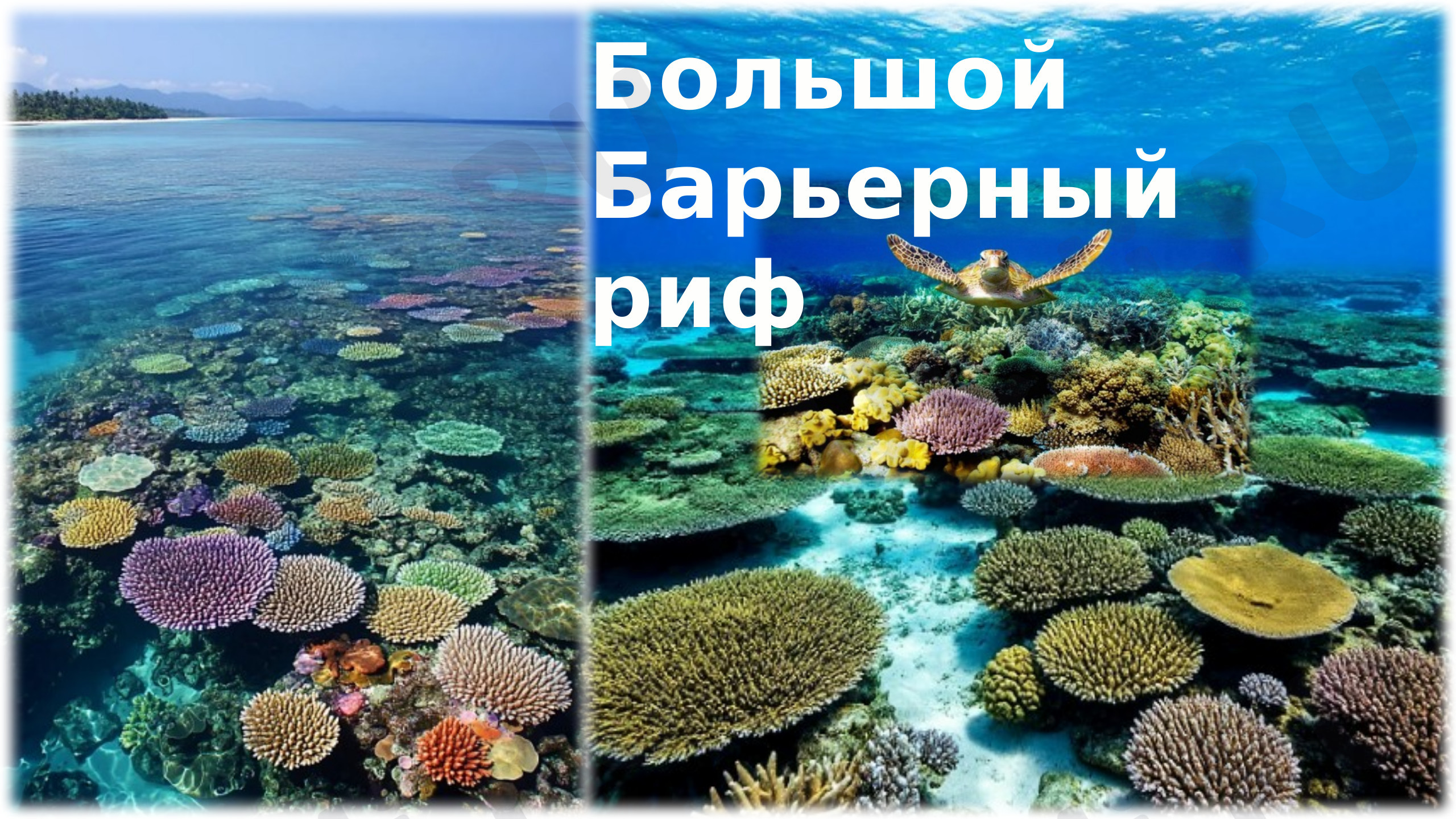 Предпросмотр материала Всемирное наследие.
