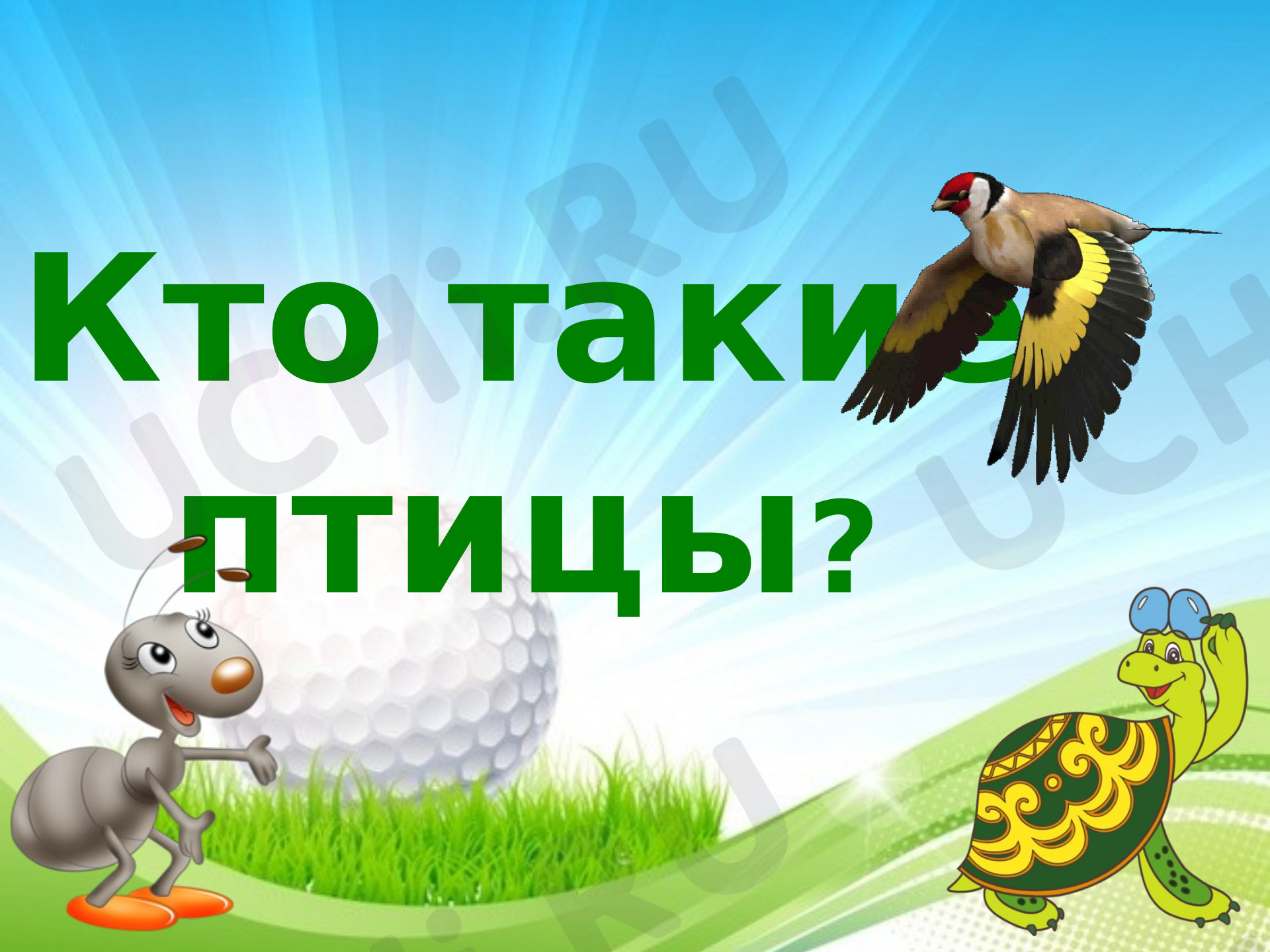 Предпросмотр материала Презентация к уроку окружающего мира. Кто такие птицы?