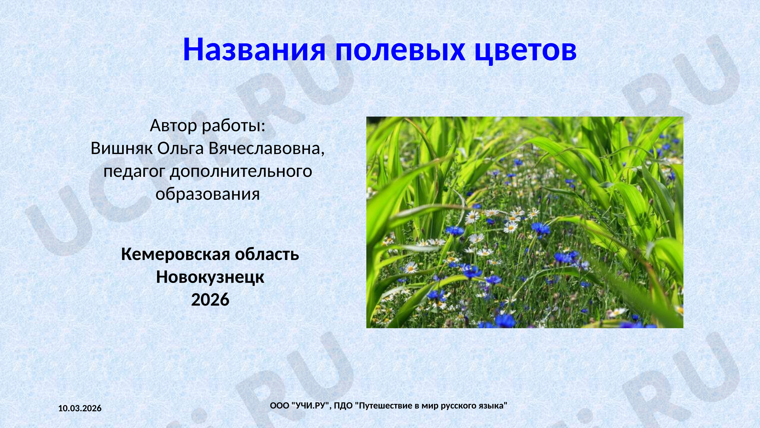 Предпросмотр материала Названия полевых цветов