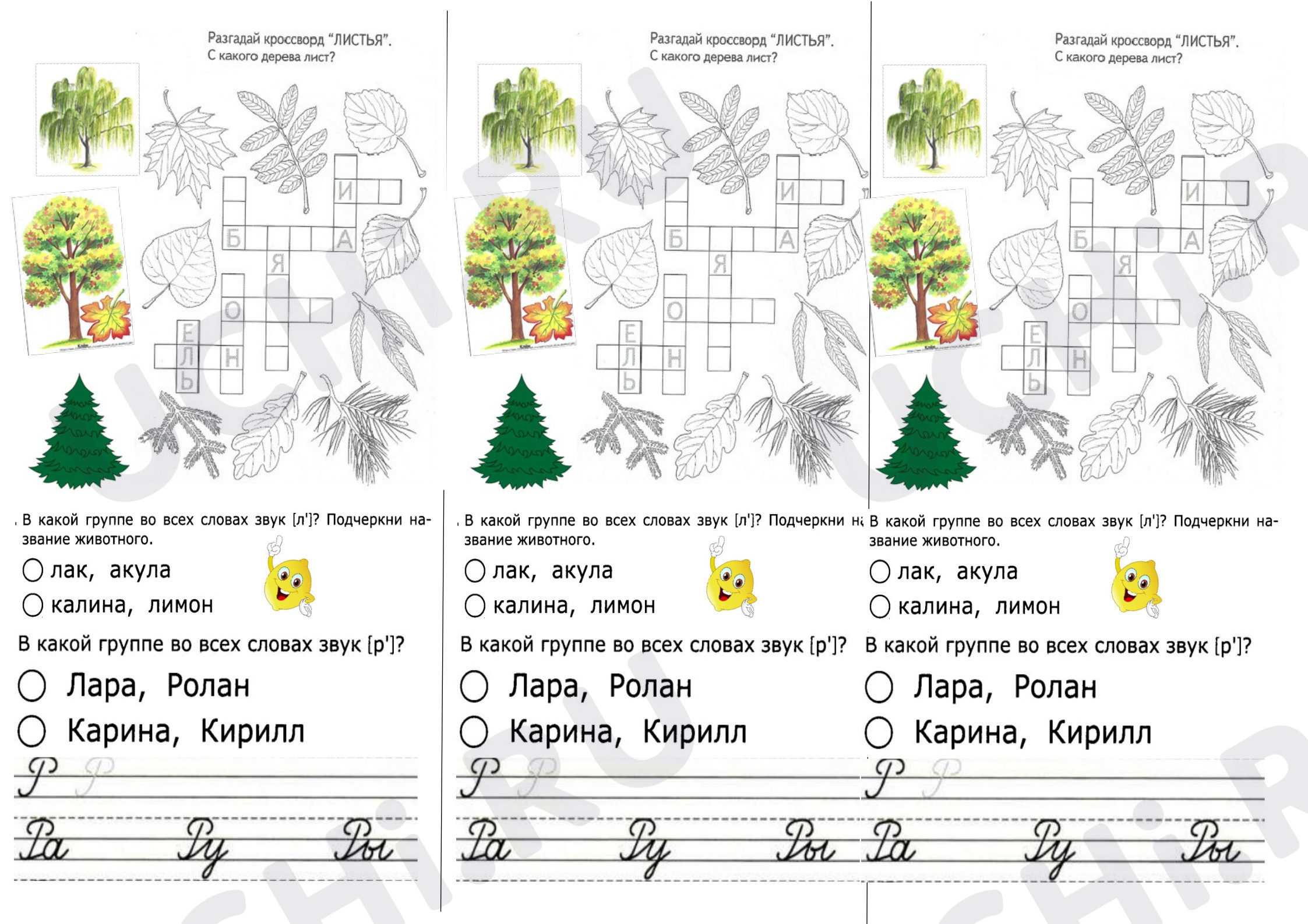 Предпросмотр материала Карточка по русскому языку. Буква Р.