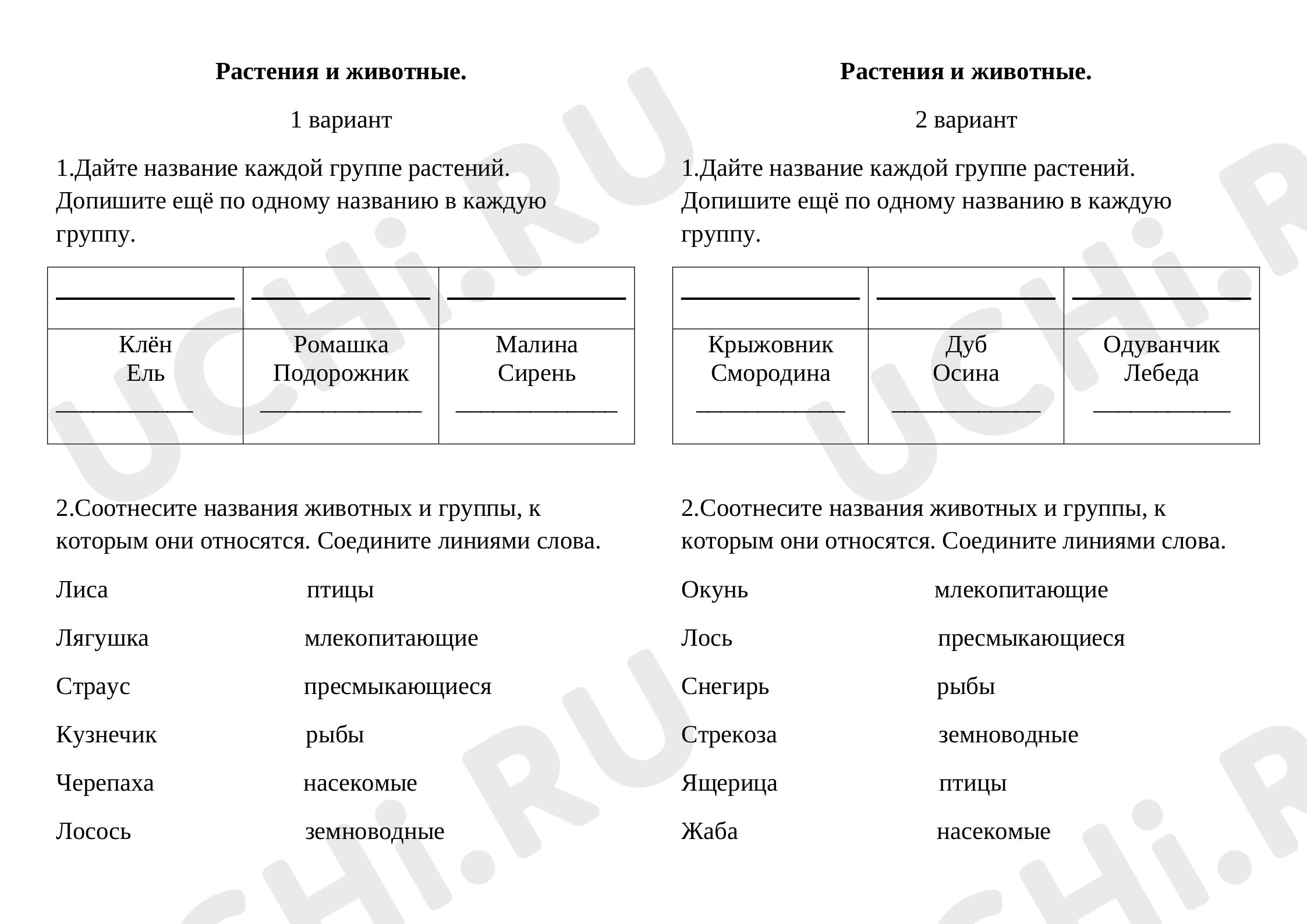 Предпросмотр материала Растения и животные