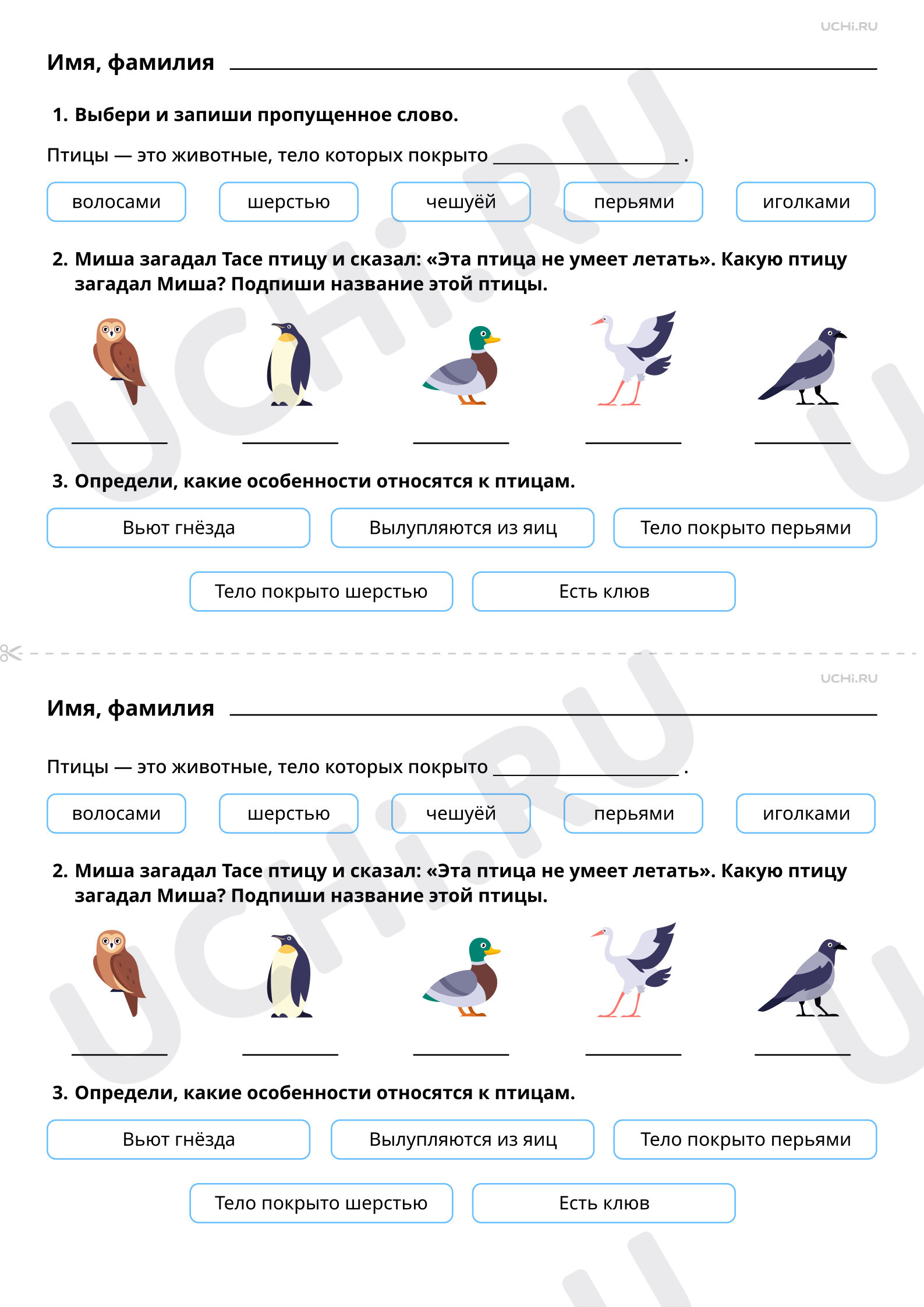 Ответы к рабочим листам по теме «Мир животных: птицы (узнавание,  называние). Главная особенность этой группы животных»: Мир животных: птицы  (узнавание, называние). Главная особенность этой группы животных | Учи.ру