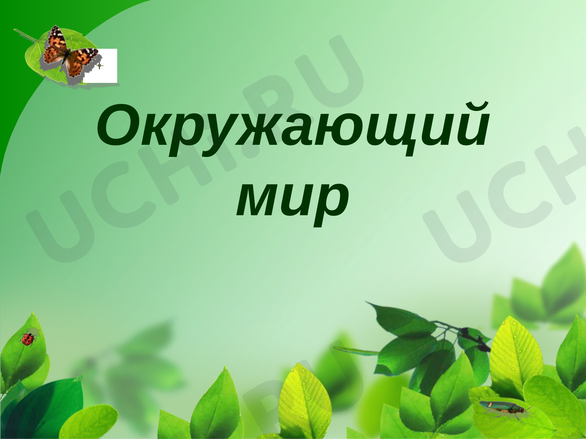 Предпросмотр материала Презентация к уроку окружающего мира. "Разнообразие мира растений"