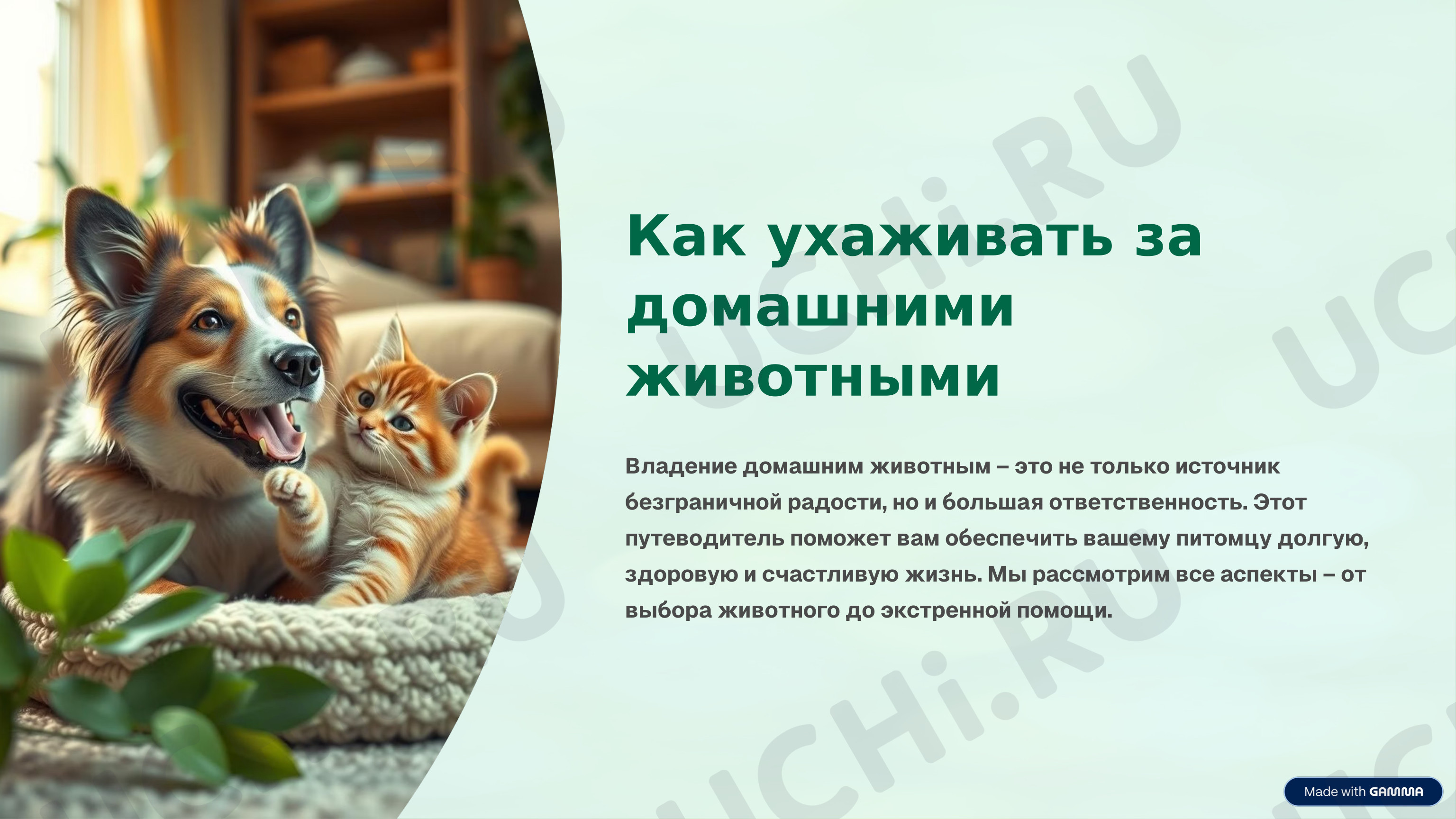 Предпросмотр материала Презентация к уроку окружающего мира. Как ухаживать за животными?