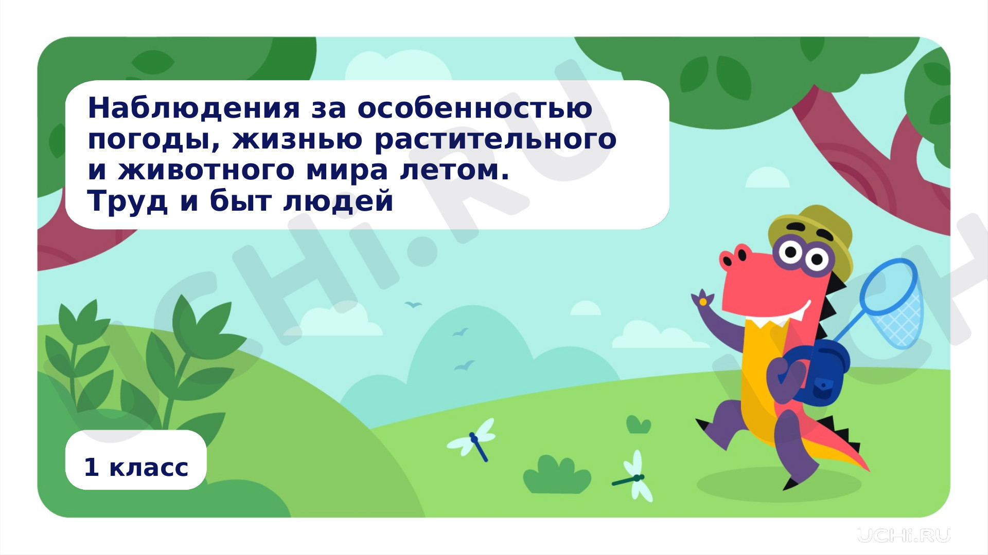 Предпросмотр материала Наблюдения за погодой, жизнью растительного и животного мира летом