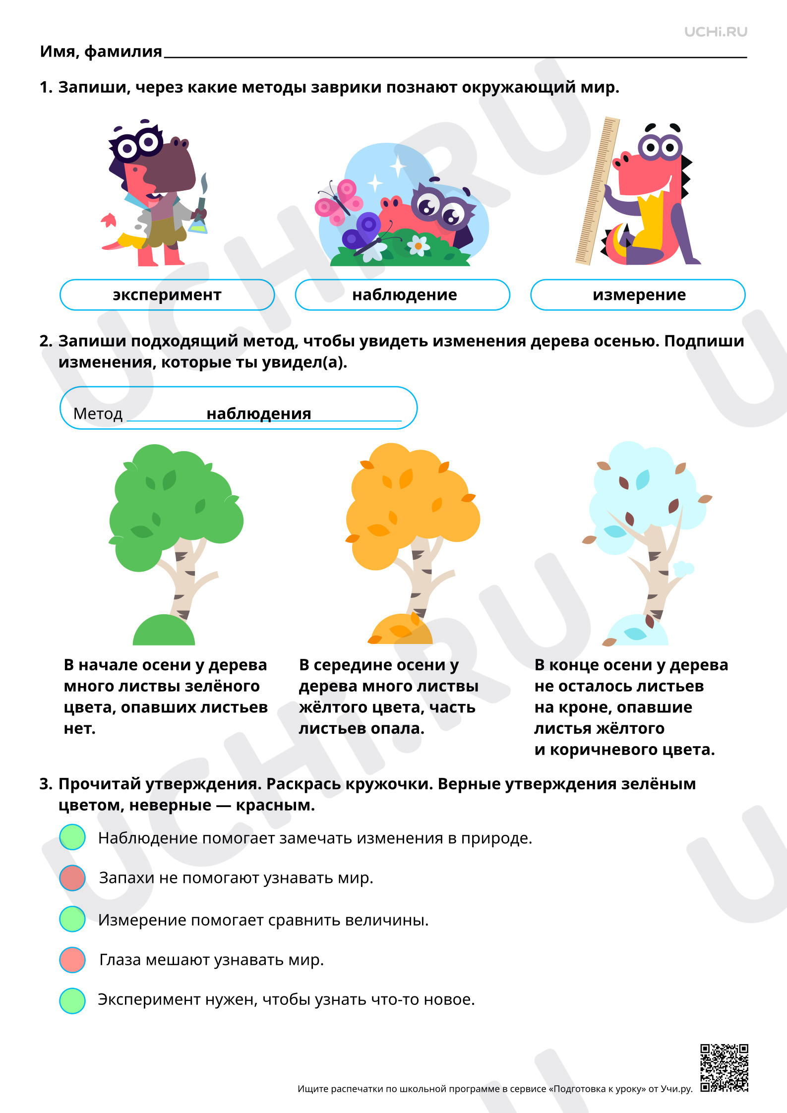 Предпросмотр материала Как человек познает окружающую природу? Ответы