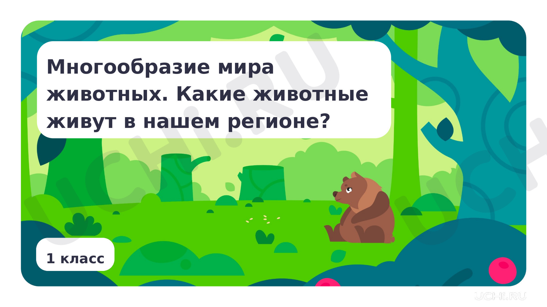 Предпросмотр материала Многообразие мира животных. Какие животные живут в нашем регионе?