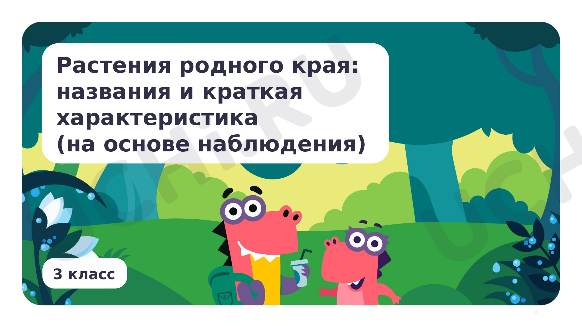 Предпросмотр материала Растения родного края: названия и краткая характеристика (на основе наблюдения)
