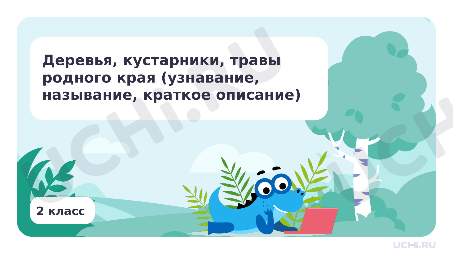 Предпросмотр материала Деревья, кустарники, травы родного края