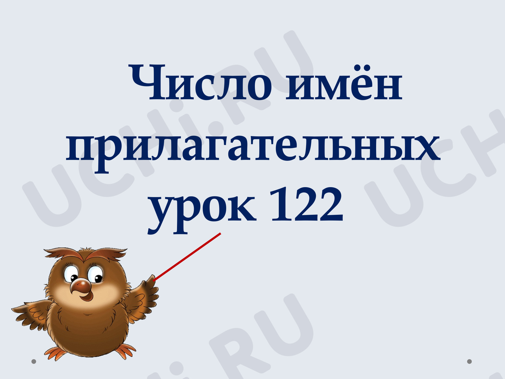 Предпросмотр материала Презентация к уроку русского языка. Число имён прилагательных