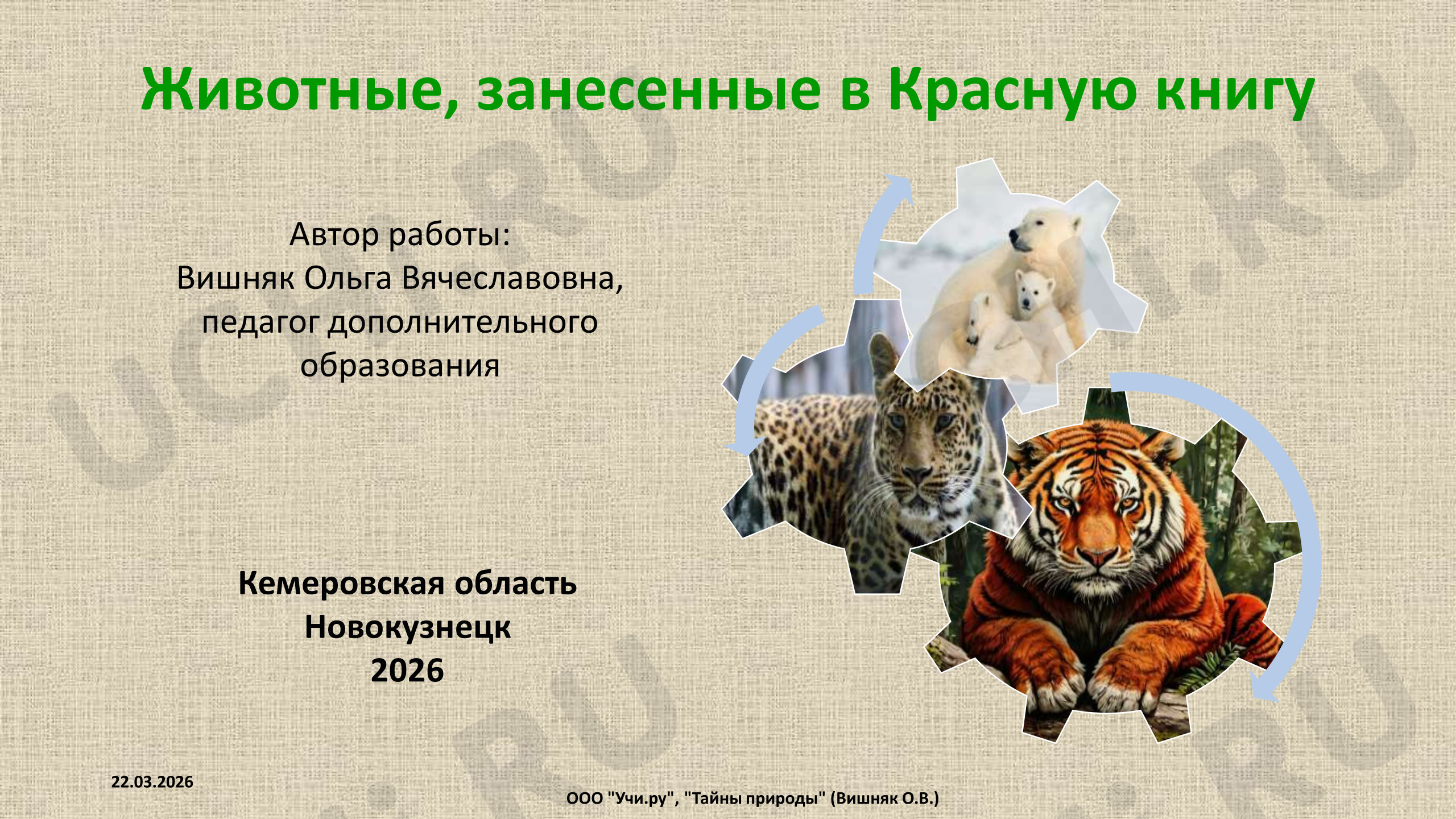 Предпросмотр материала Животные, занесенные в Красную книгу