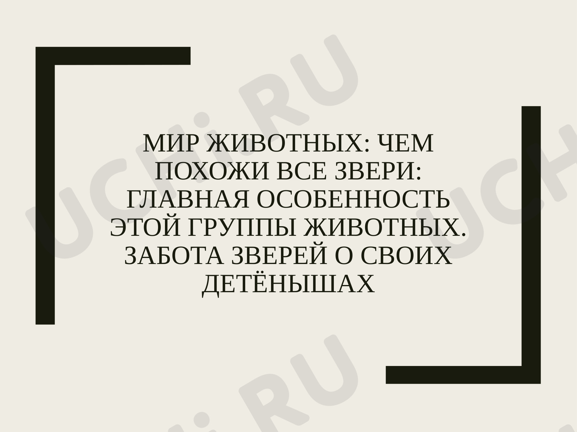 Предпросмотр материала Презентация к уроку окружающего мира по теме: "Мир животных: чем похожи все звери: главная особенность этой группы животных. Забота зверей о своих детёнышах."