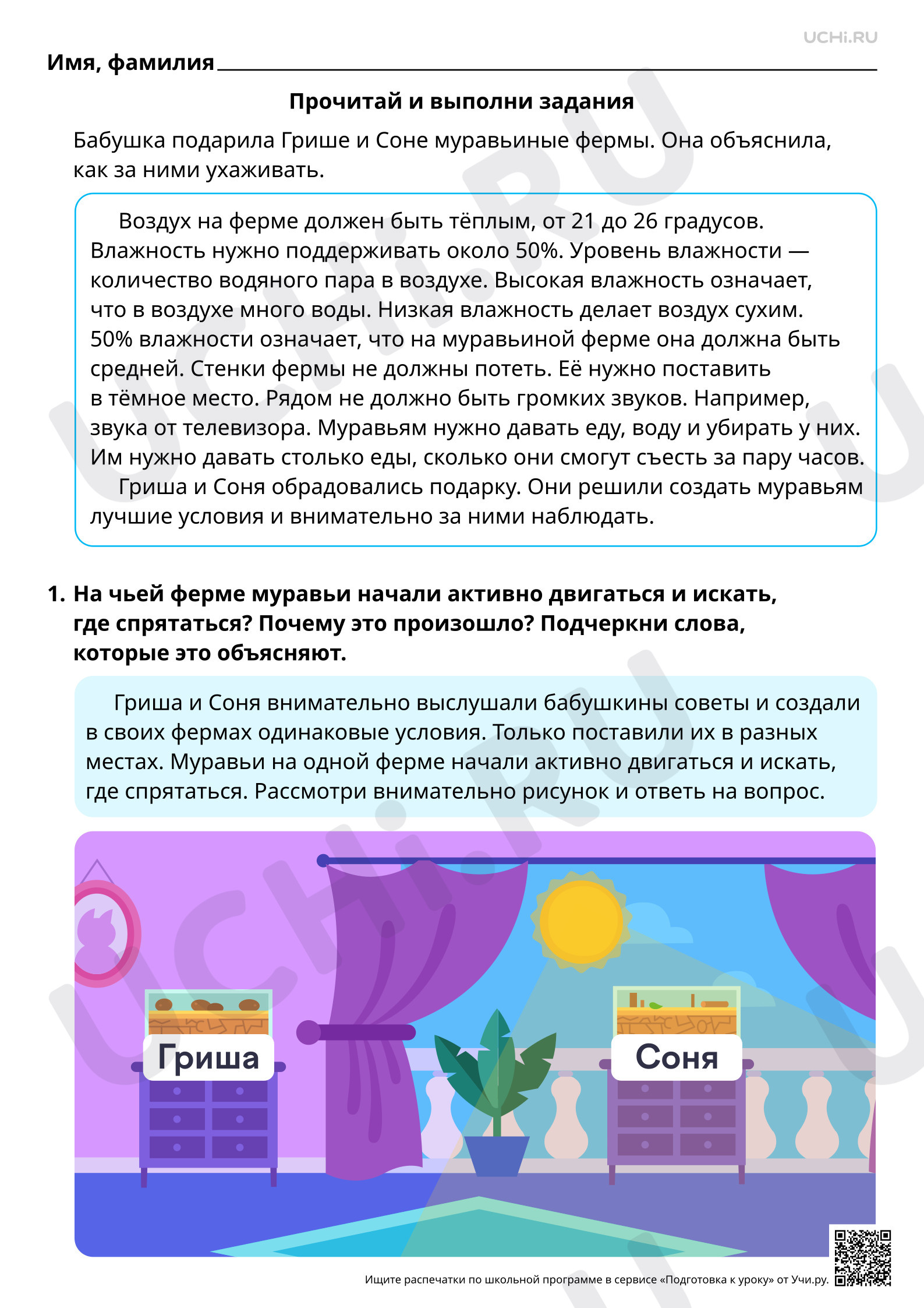 Предпросмотр материала Естественно-научная грамотность. Проводим опыт на муравьиной ферме. Ответы