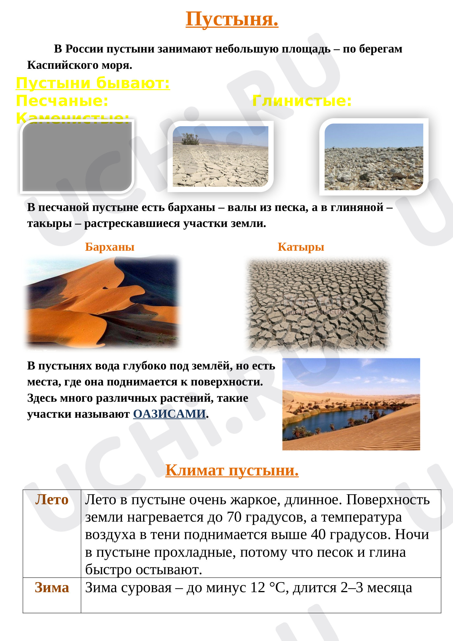 Предпросмотр материала Ответы на рабочий лист