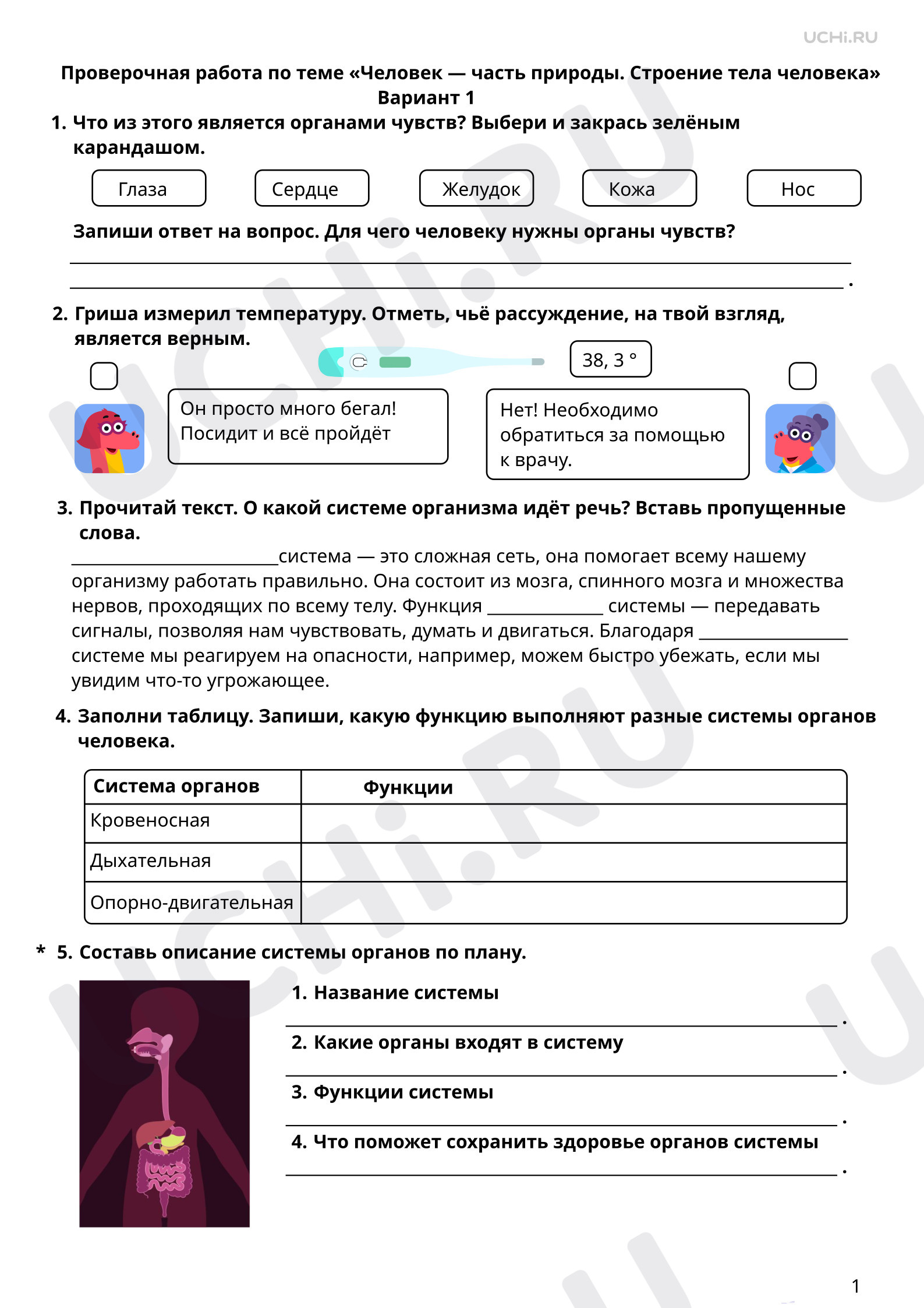 Предпросмотр материала Человек — часть природы. Строение тела человека. 1 вариант