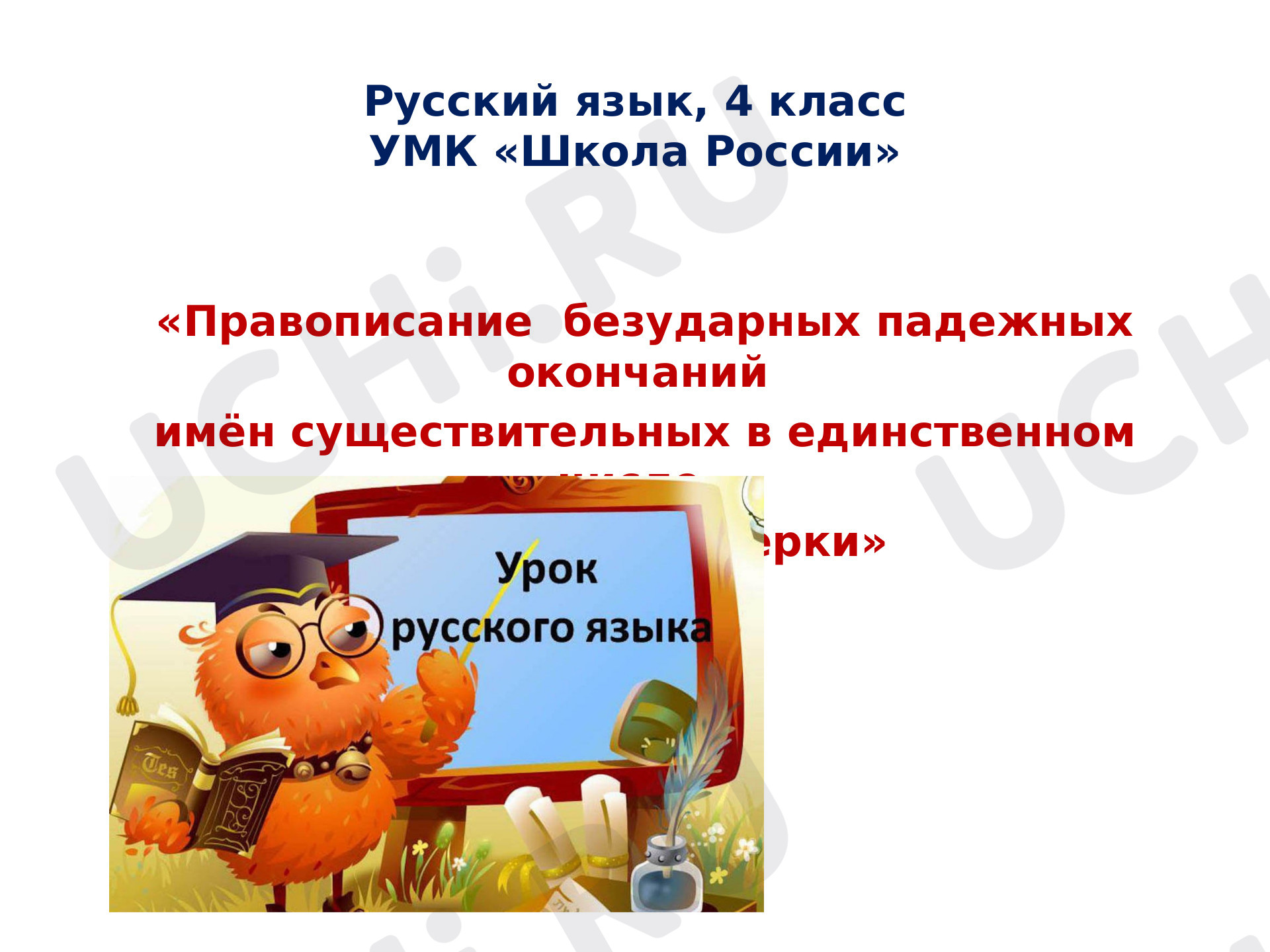 Предпросмотр материала Правописание безударных падежных окончаний имён существительных в единственном числе. Способы проверки