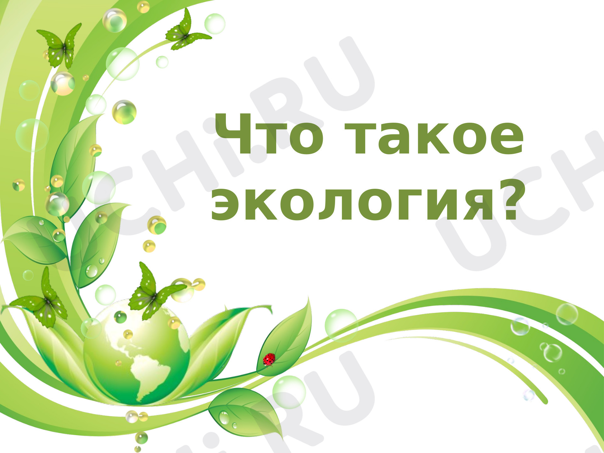 Предпросмотр материала Что такое экология?