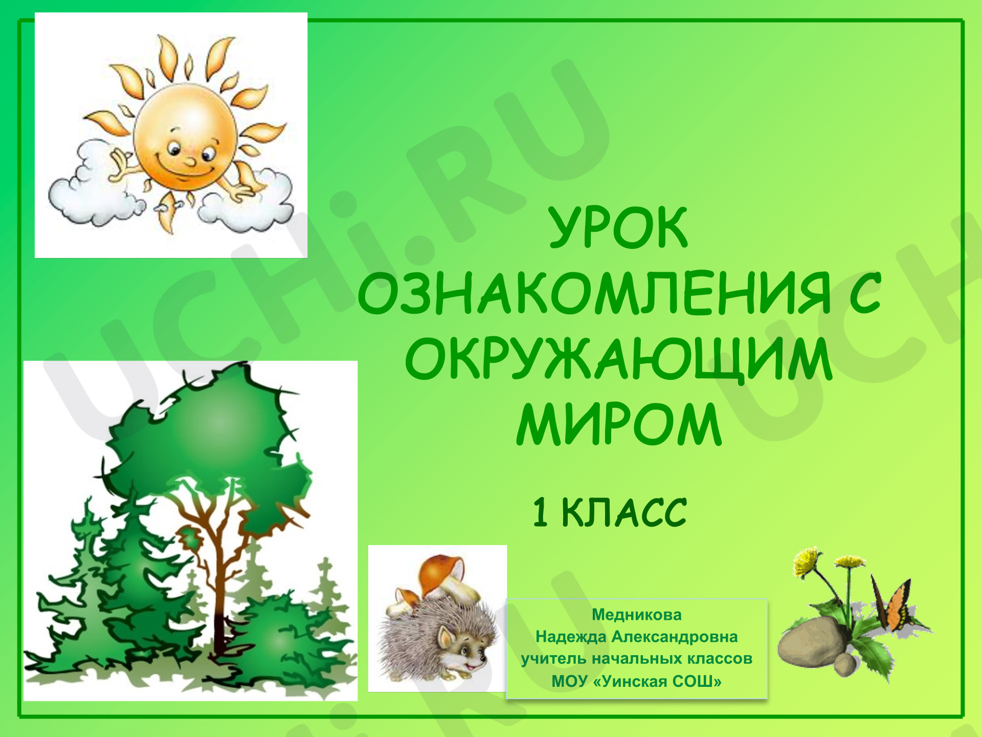 Предпросмотр материала Презентация к уроку окружающего мира. Многообразие грибов.