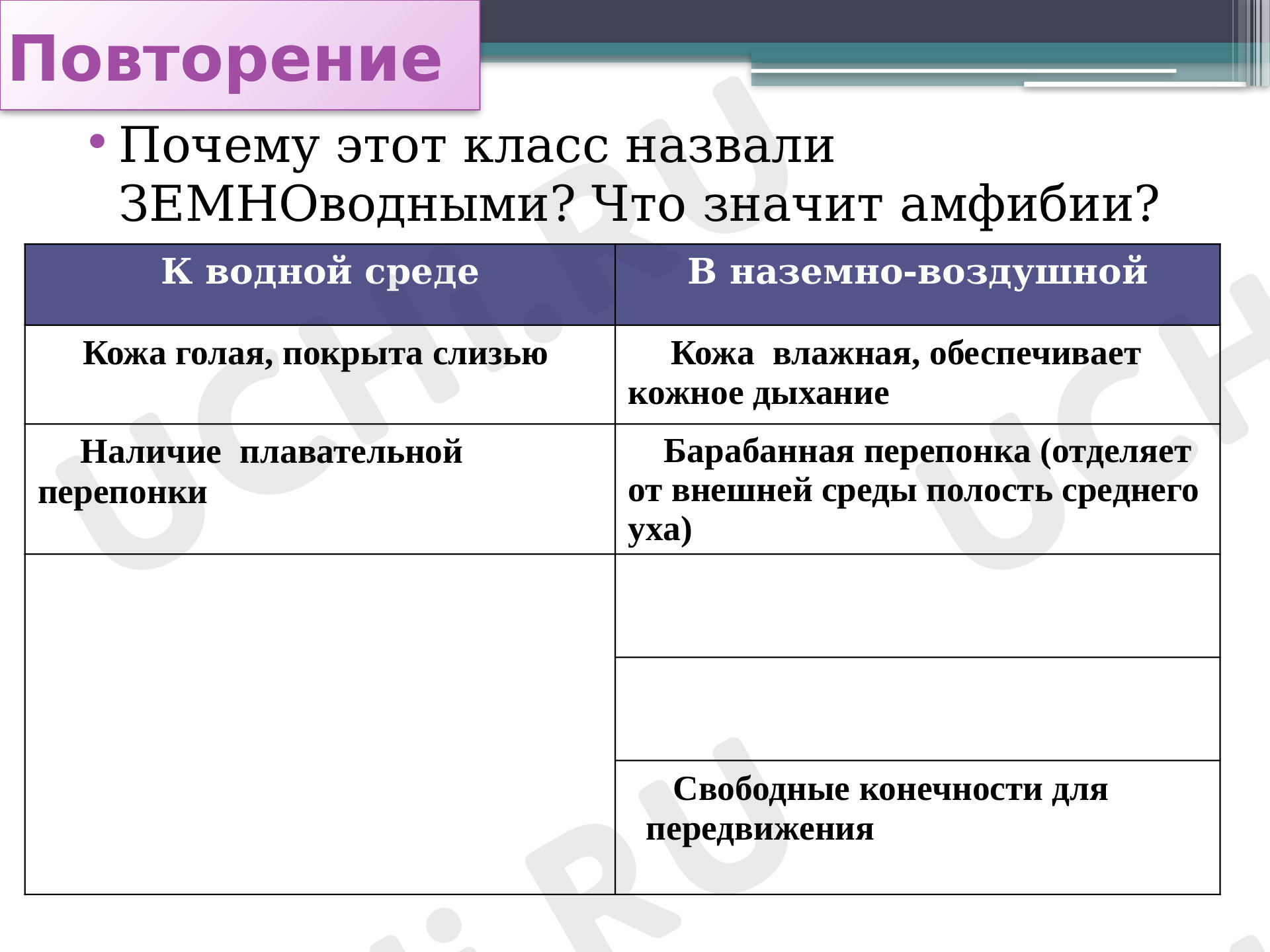 Предпросмотр материала Многообразие земноводных