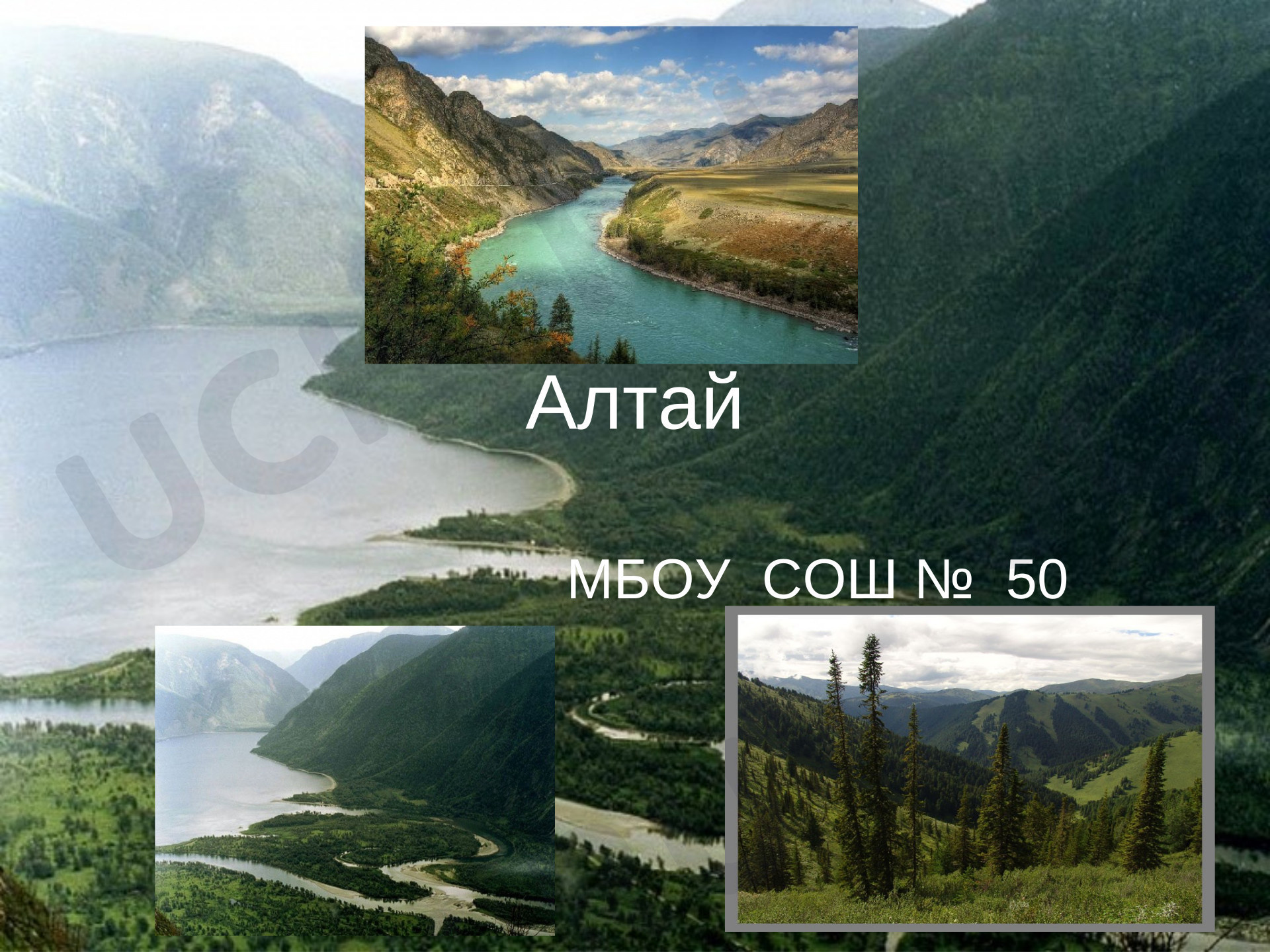 Предпросмотр материала Презентация на урок окружающего мира «Алтай».
