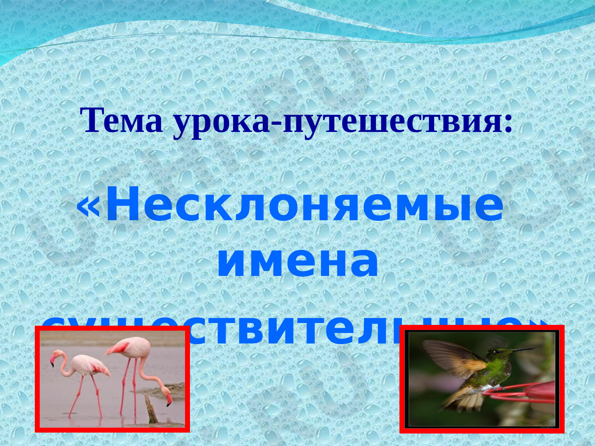 Предпросмотр материала Презентация к уроку русского языка по теме: Несклоняемые имена существительные