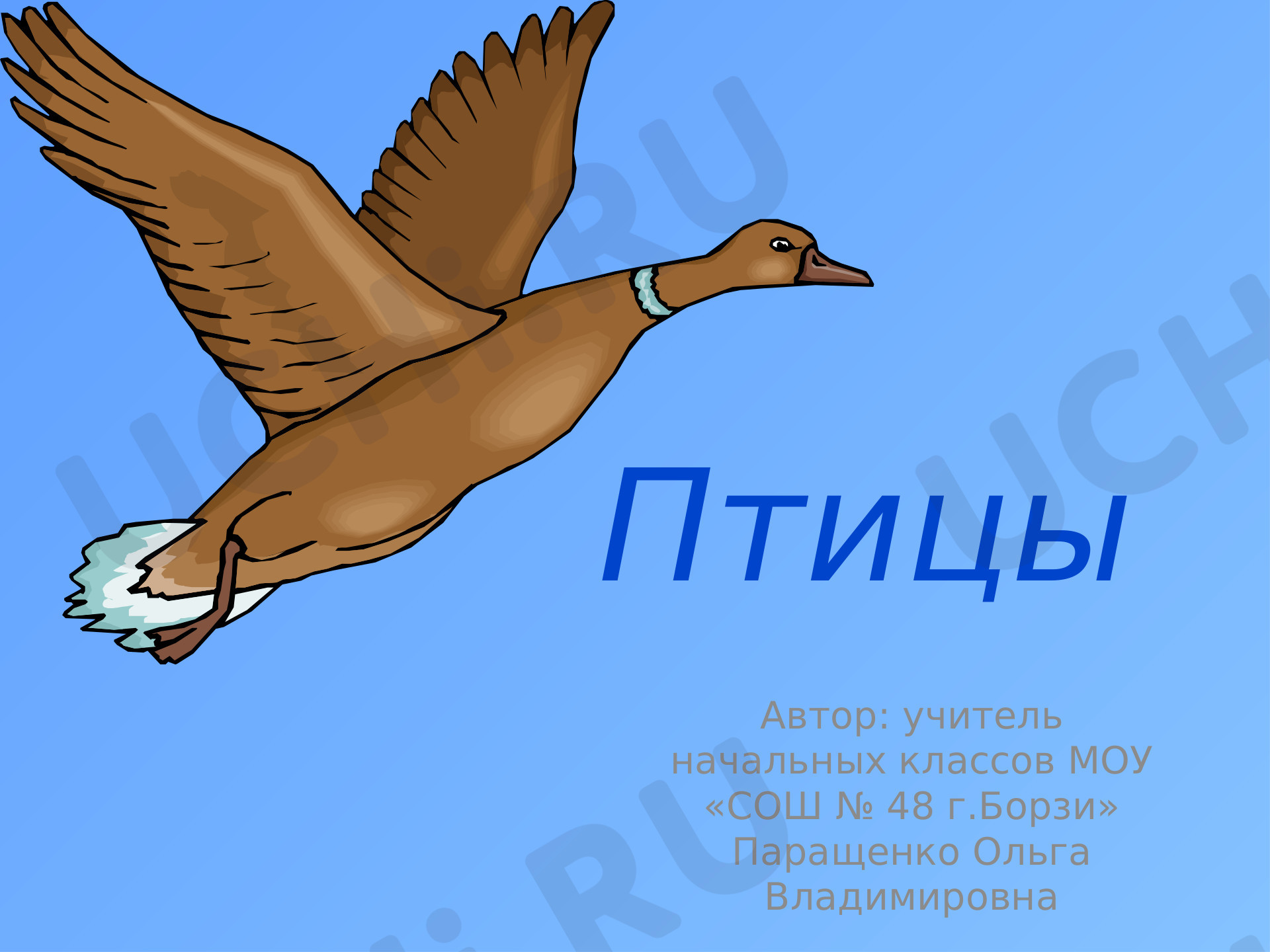 Предпросмотр материала Существенные признаки птиц