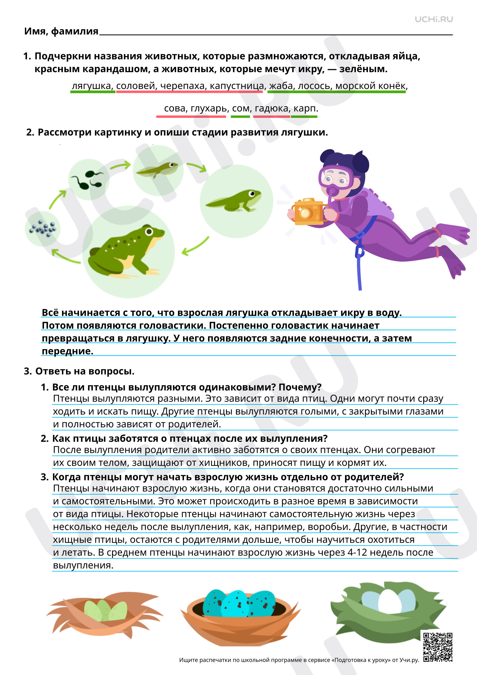 Предпросмотр материала Размножение и развитие рыб, птиц, зверей. Ответы