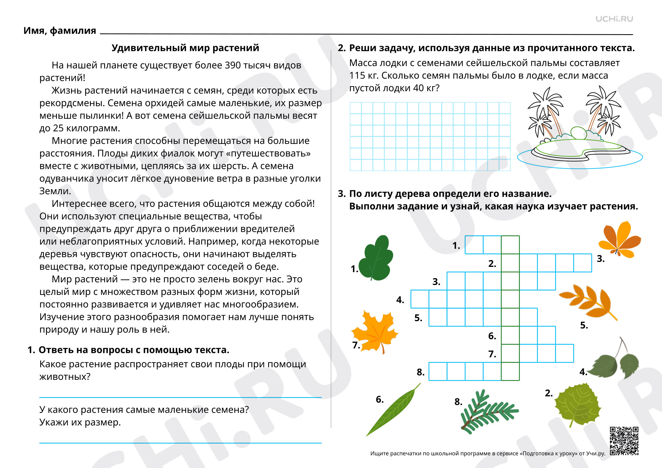 Предпросмотр материала Тайны растительного мира