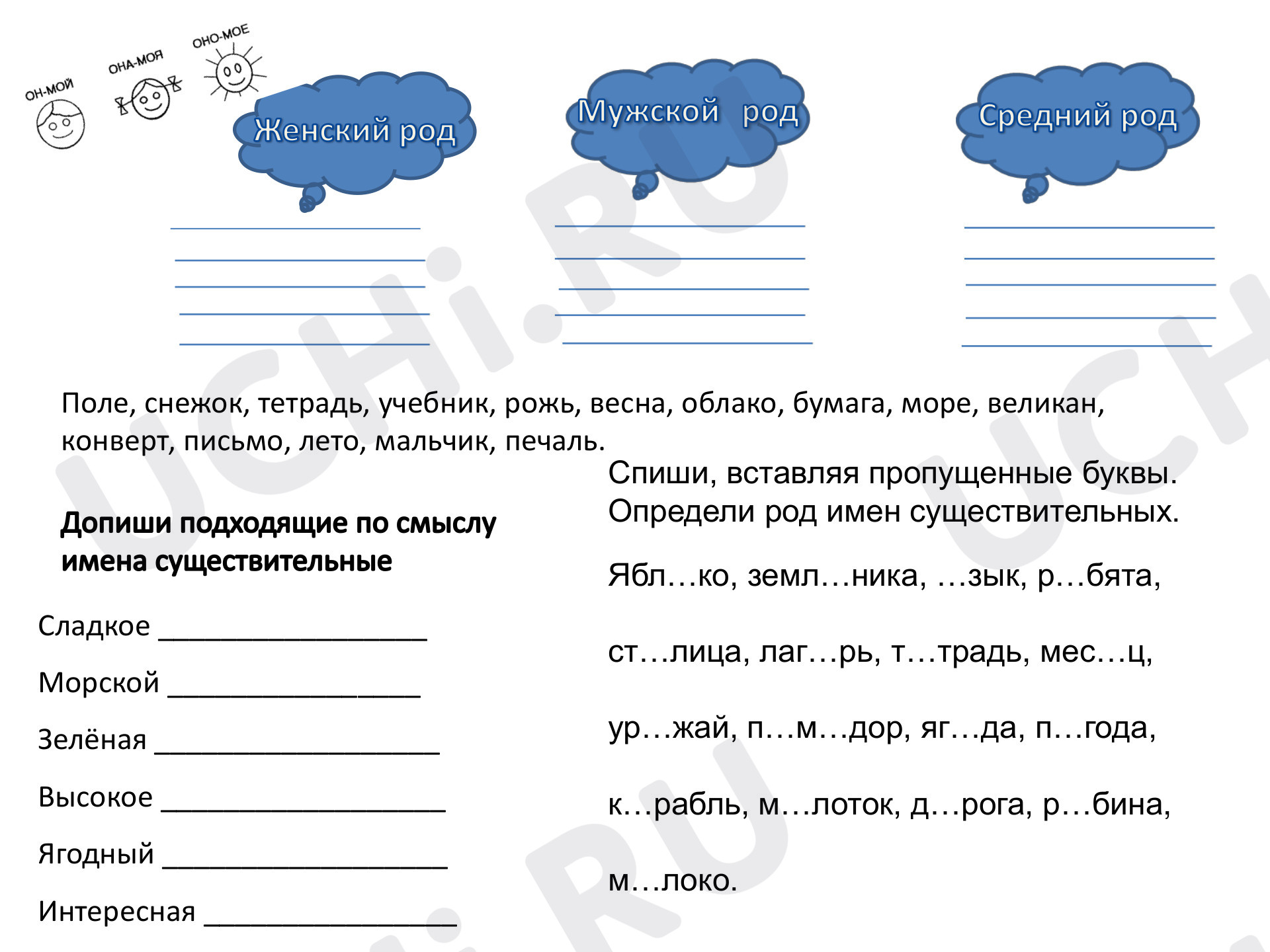 Предпросмотр материала Род имен существительных