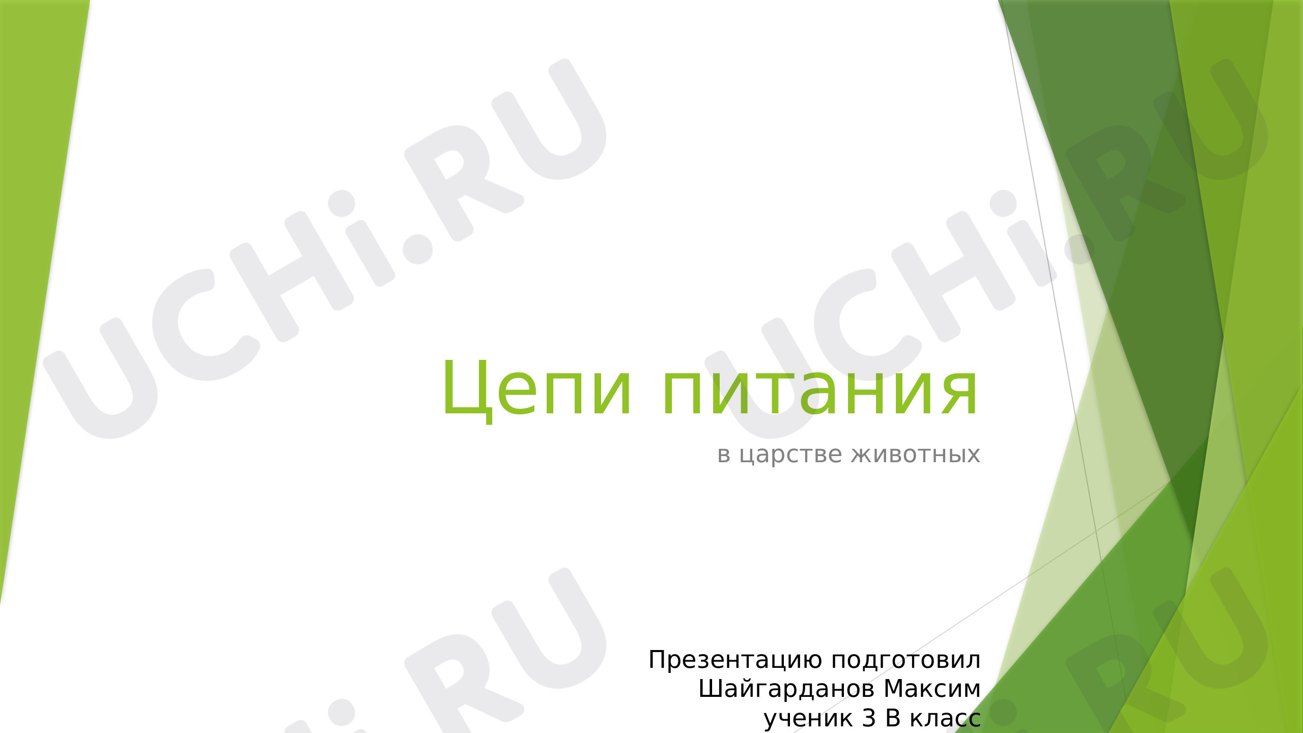 Предпросмотр материала Цепи питания