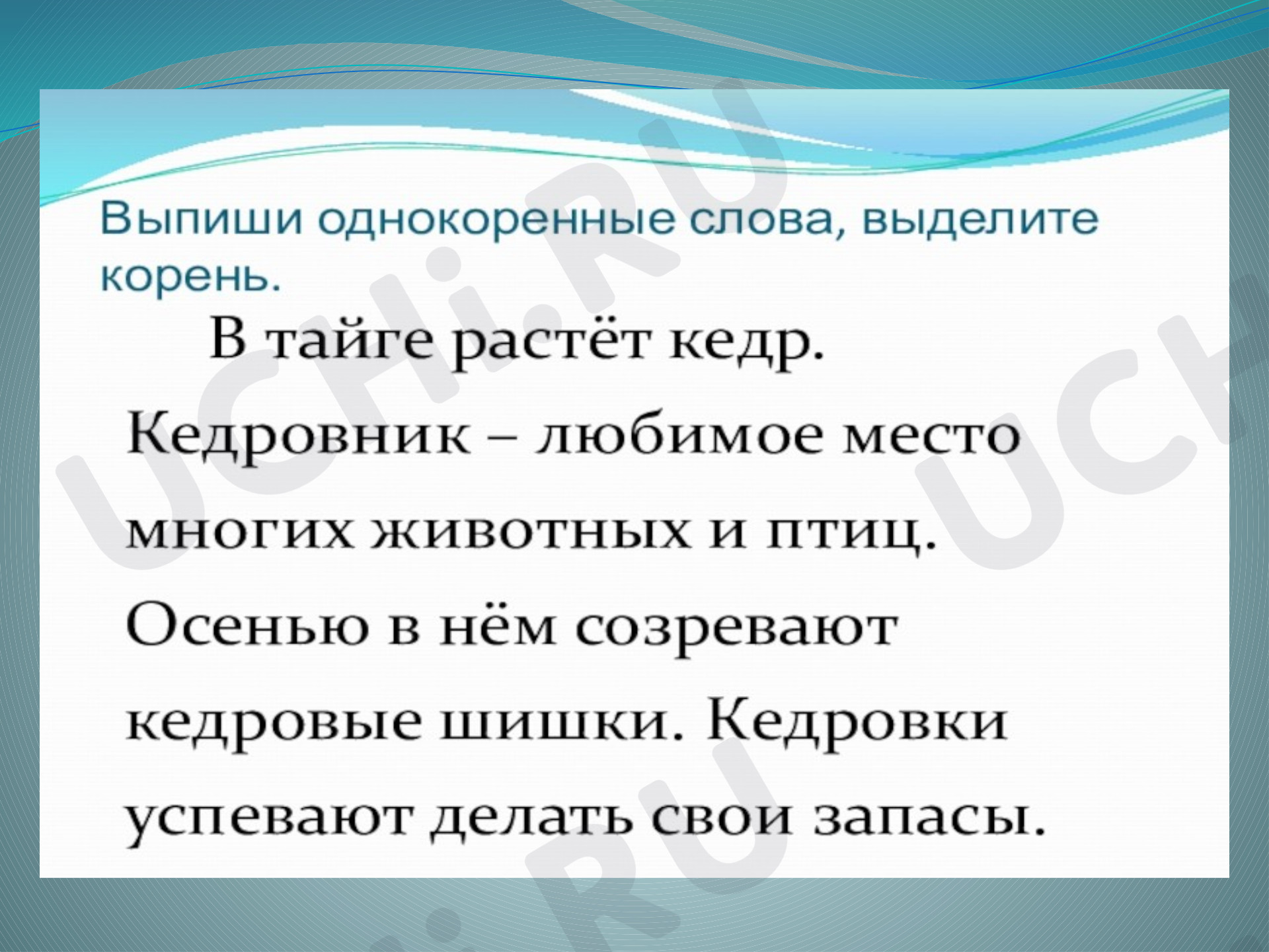 Что такое корень и однокоренные слова