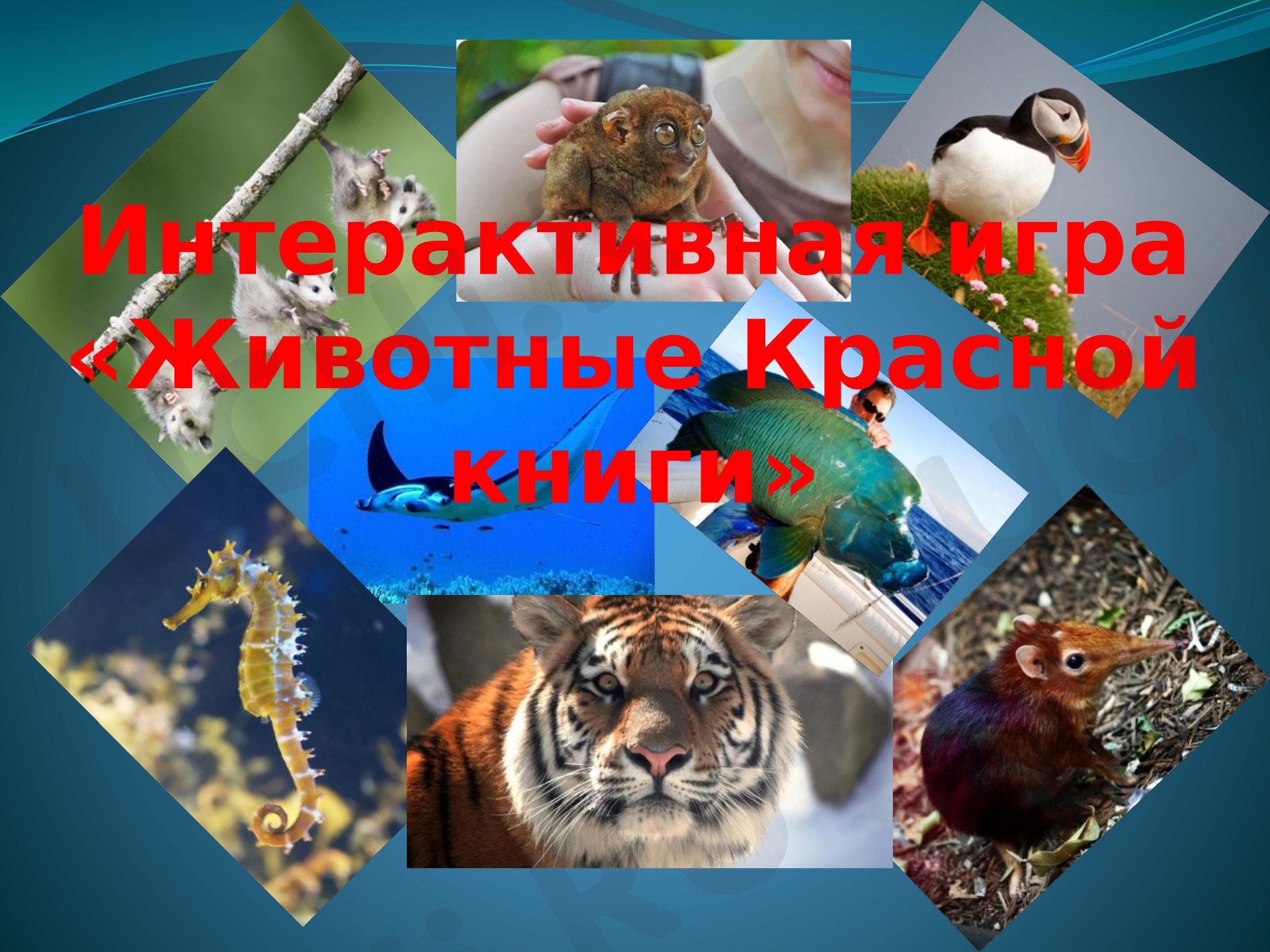 Предпросмотр материала Презентация к уроку окружающего мира. Интерактивная игра «Красная книга»